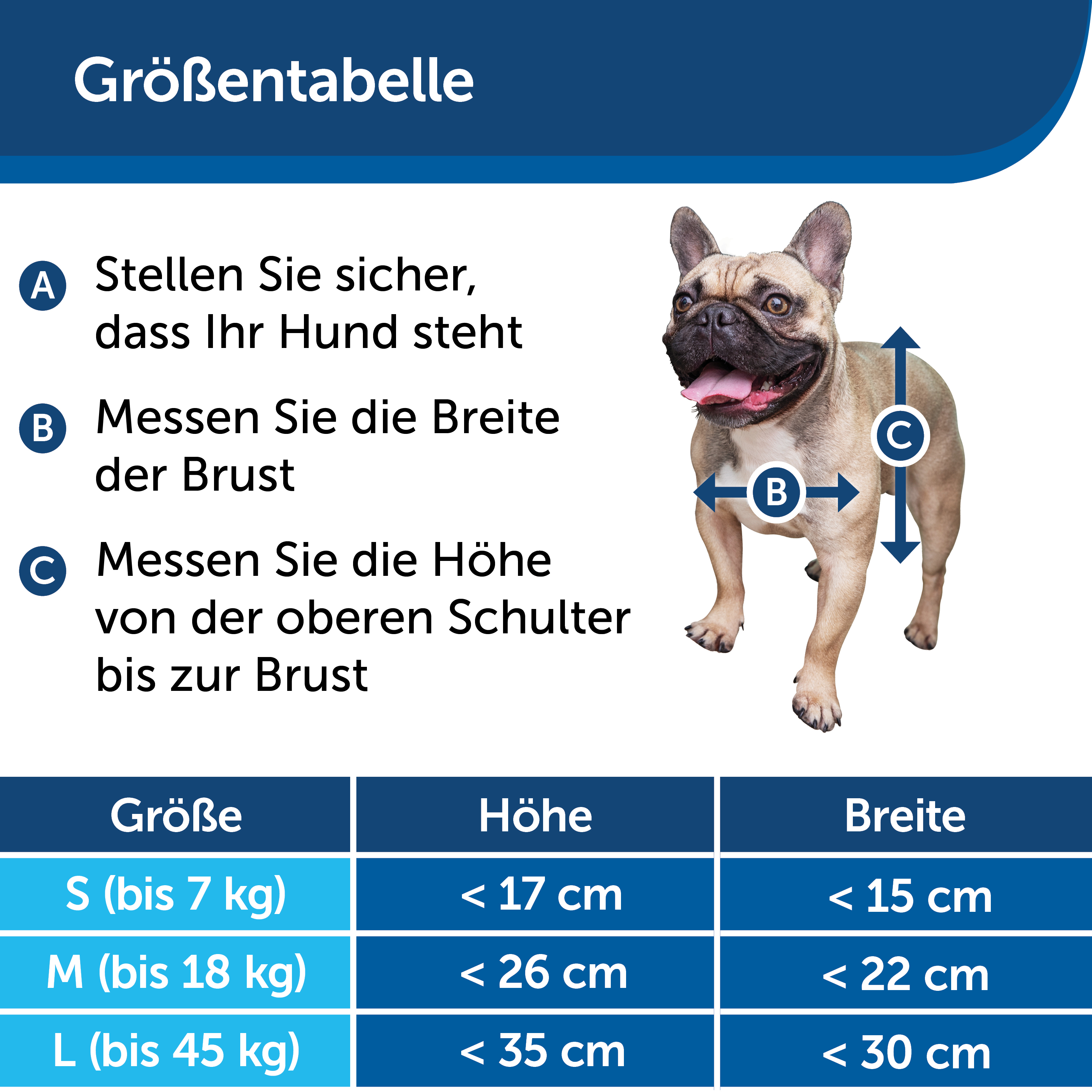 Französische Bulldogge mit Größentabelle, Messungen für Größen S, M, L.