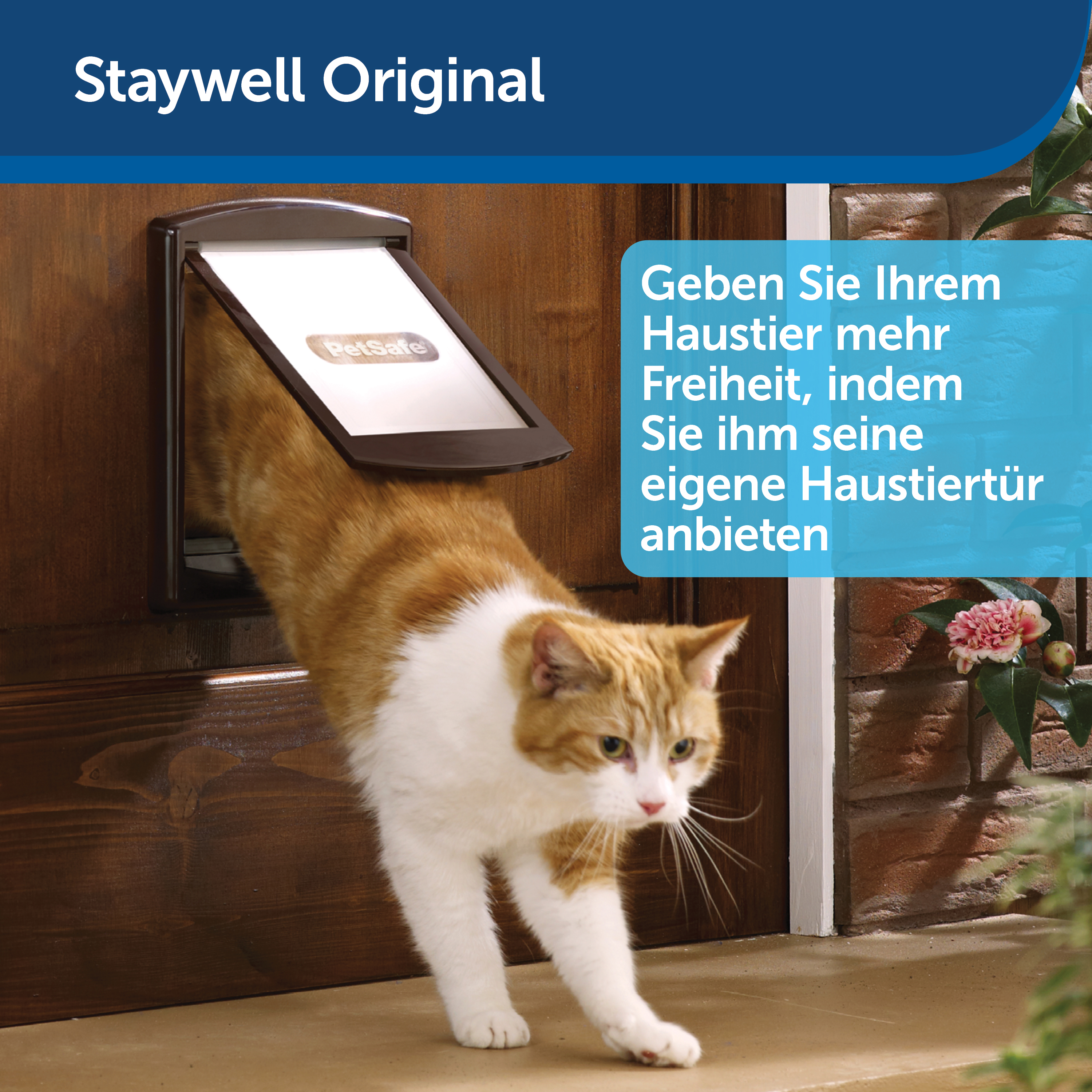 Eine Katze, die eine Haustiertür verlässt, mit einem Schild mit der Aufschrift 'PetSafe' und deutschem Text.