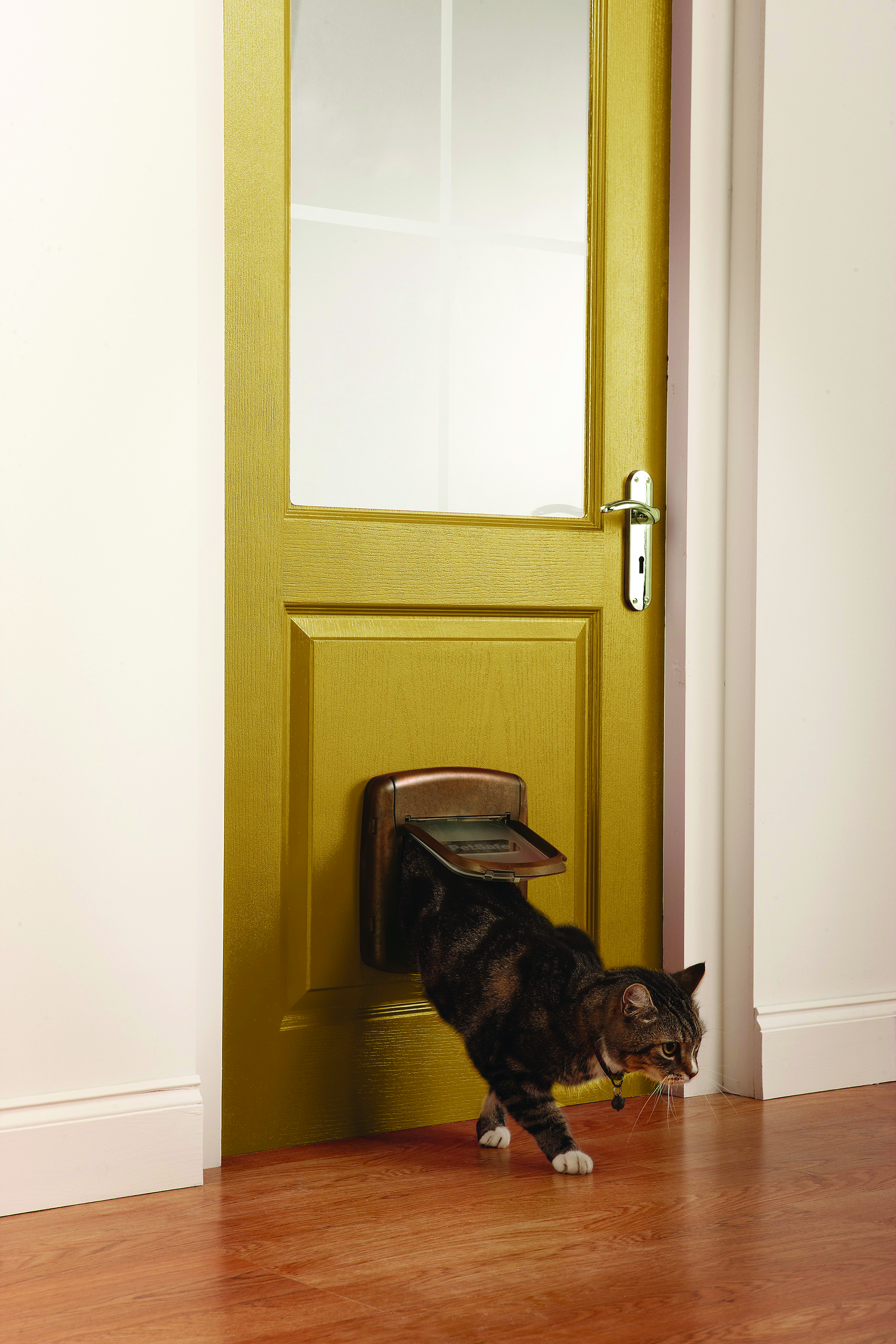 Eine Katze verlässt eine Katzentür. Die Tür ist in einer gelben Tür. Die Katze ist getigert.