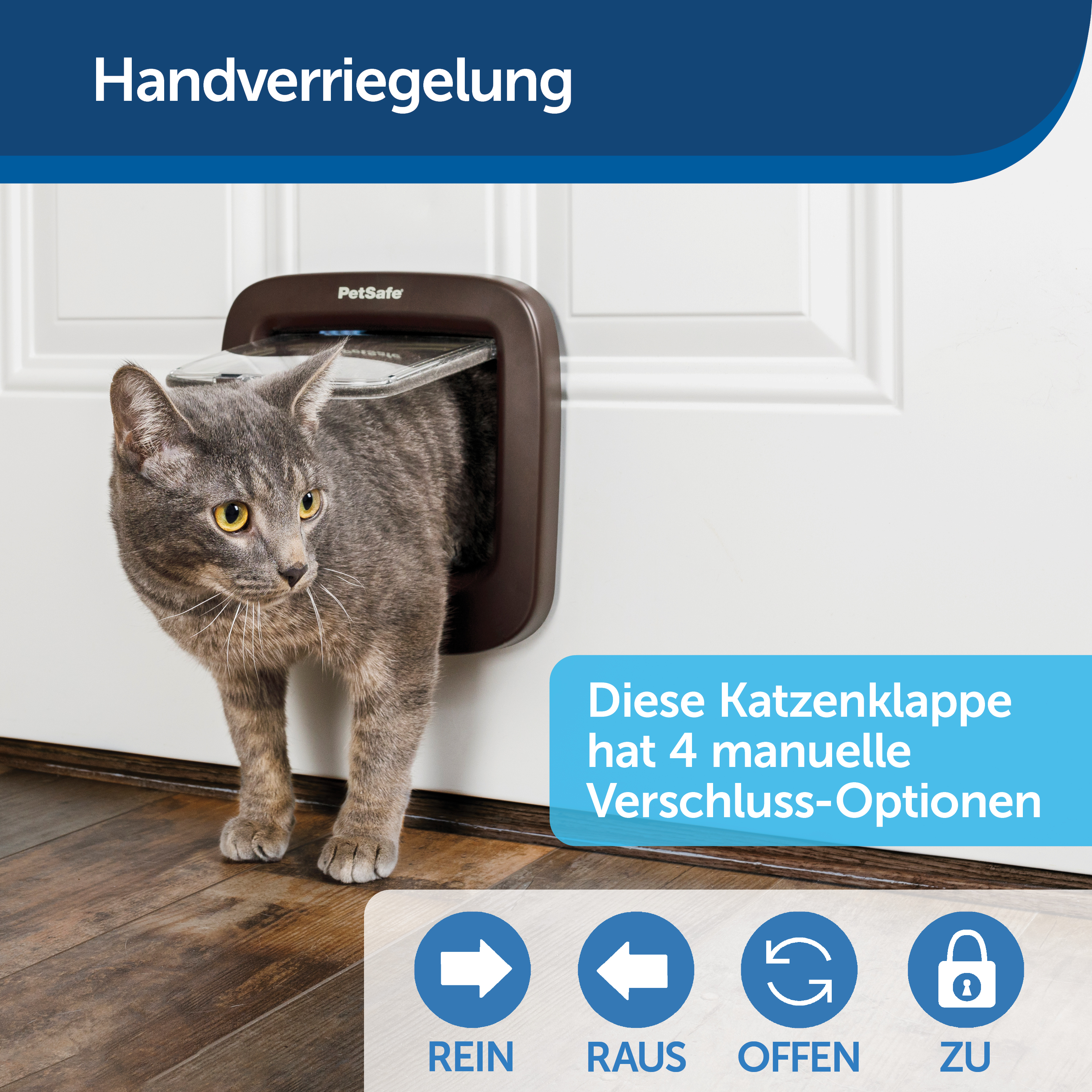 Graue Katze verlässt Katzentür von PetSafe, Steuerung unten. Weißer Hintergrund.