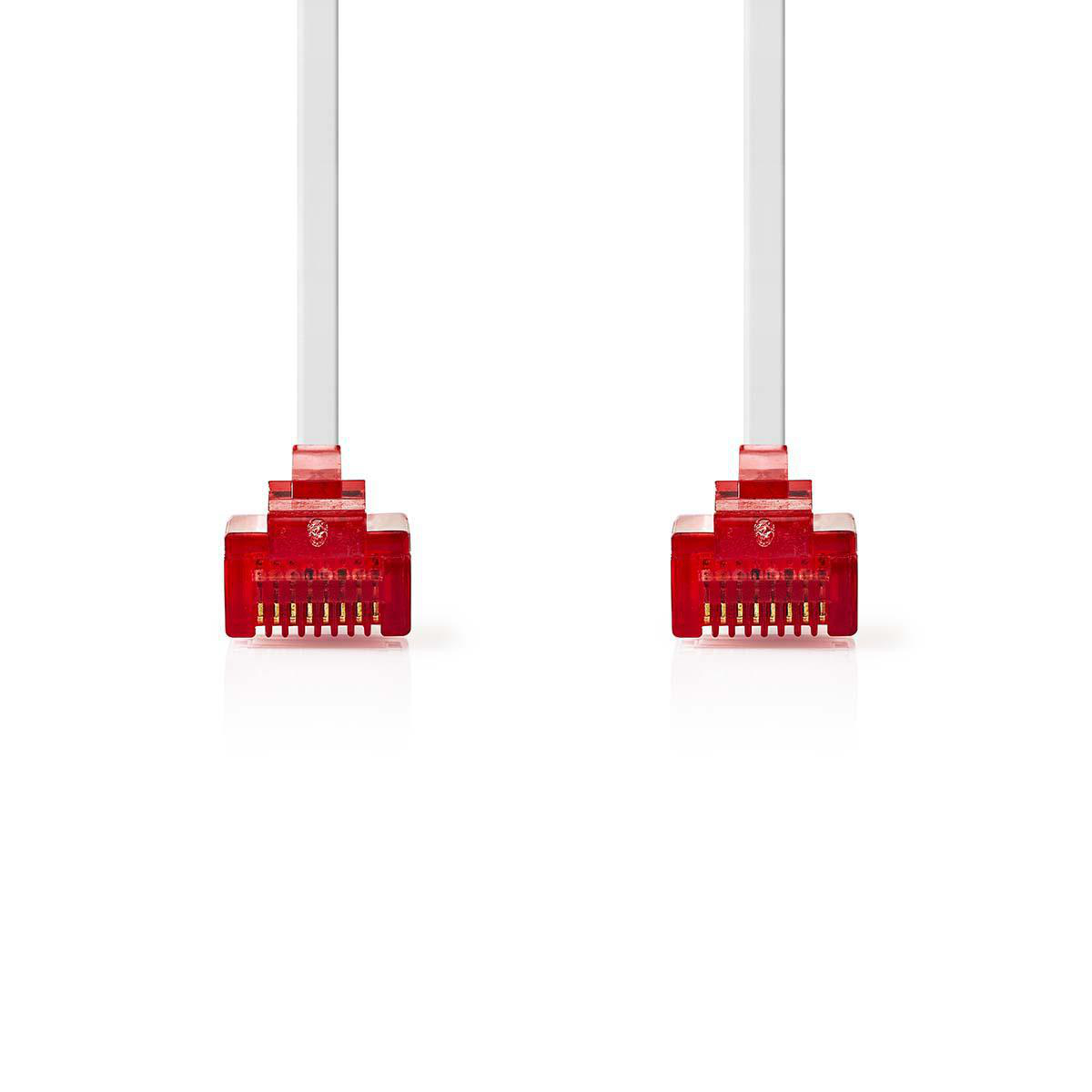 Due cavi Ethernet bianchi con connettori rossi su sfondo bianco.