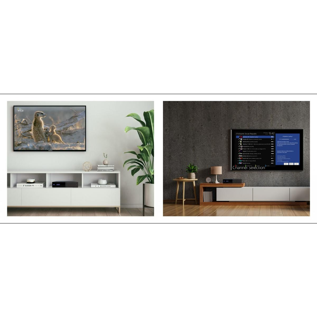 Zwei Bilder: TV mit Erdmännchen und TV mit Kanalauswahlmenü an der Wand.