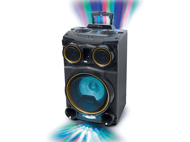 Altavoces con Karaoke para Fiestas MUSE Muse M1938DJ Negro / Altavoz