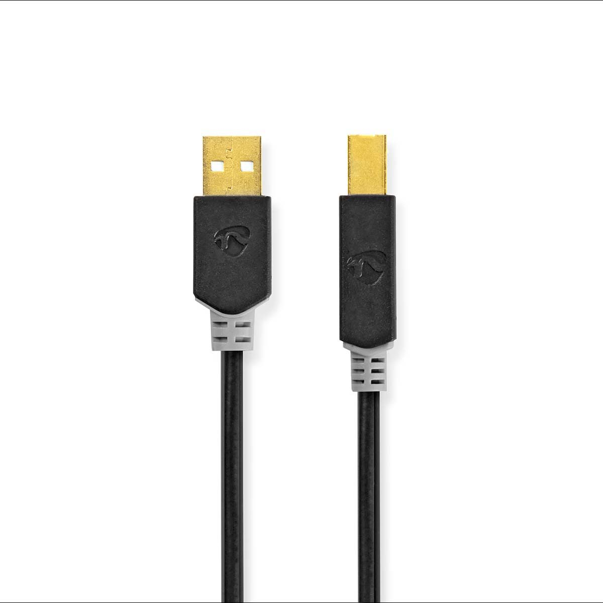 Schwarze und goldene USB-Kabel mit USB-Anschlüssen an beiden Enden. Weißer Hintergrund.