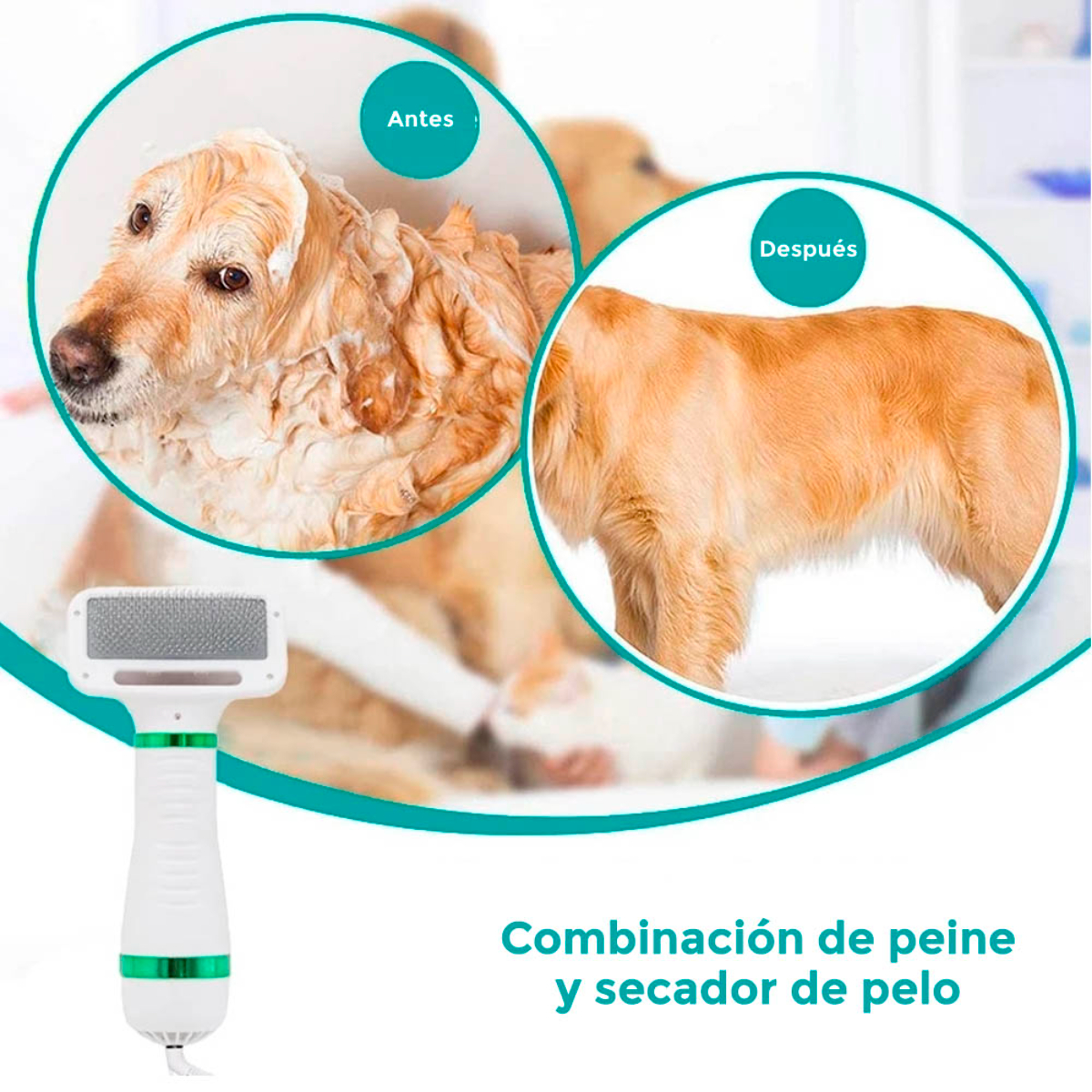 Perro antes y después del aseo. Herramienta de aseo blanca y verde a la izquierda.