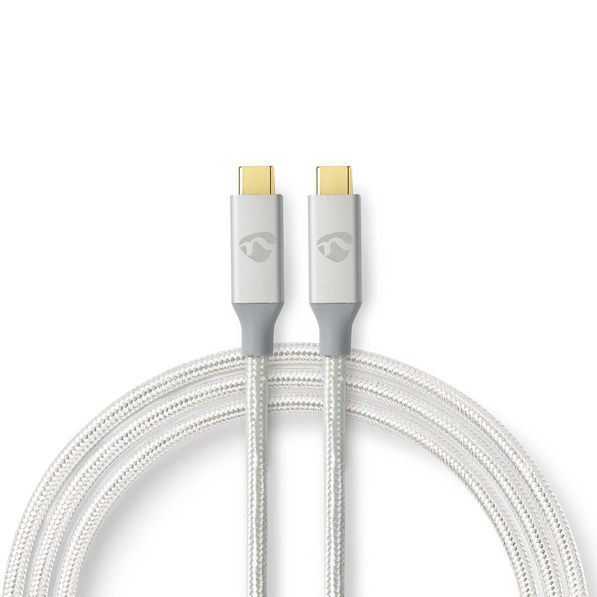 Due cavi USB-C argentati con connettori grigi e sfondo bianco.