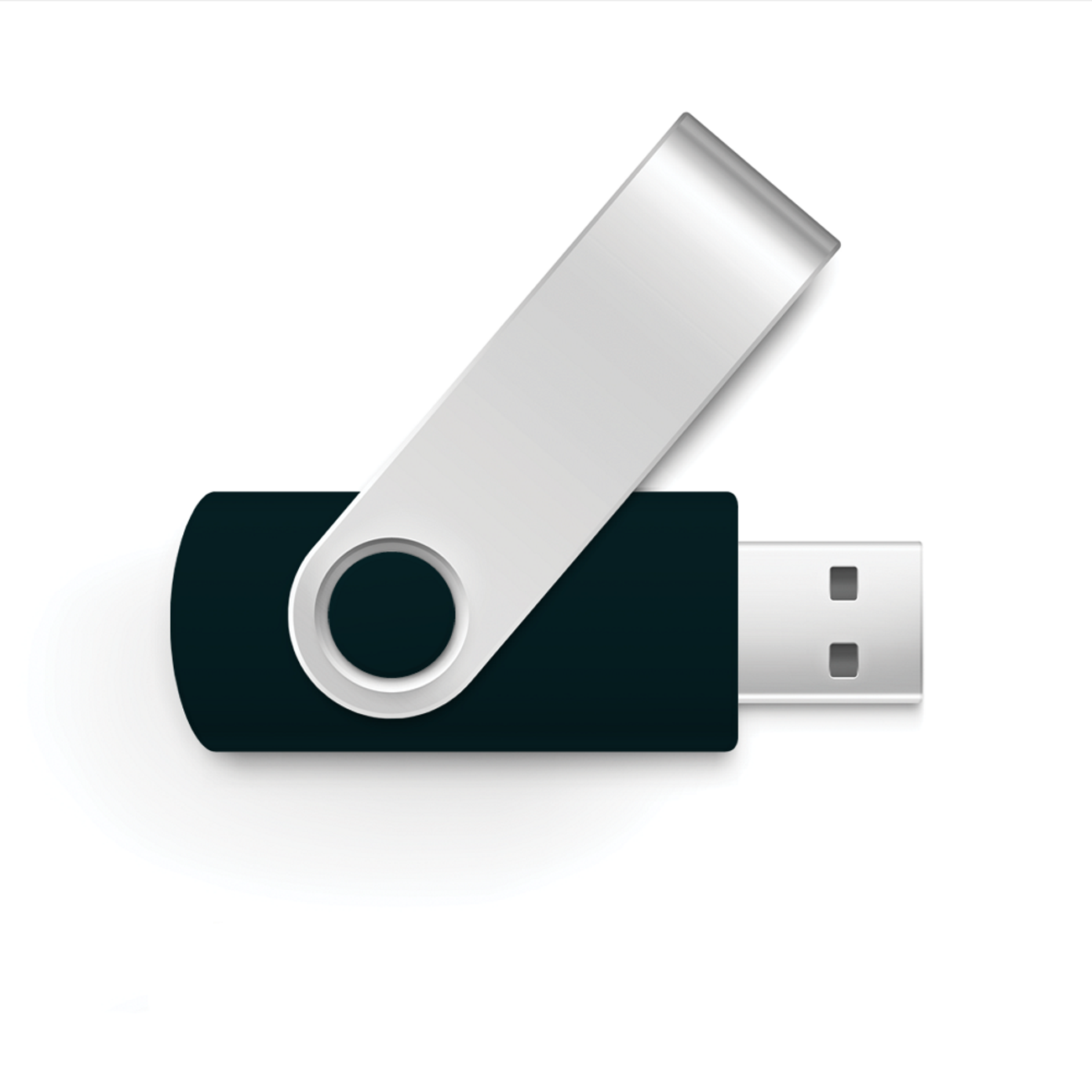 USB GERMANY Swivel 32GB USB-Stick 32 GB) (Schwarz