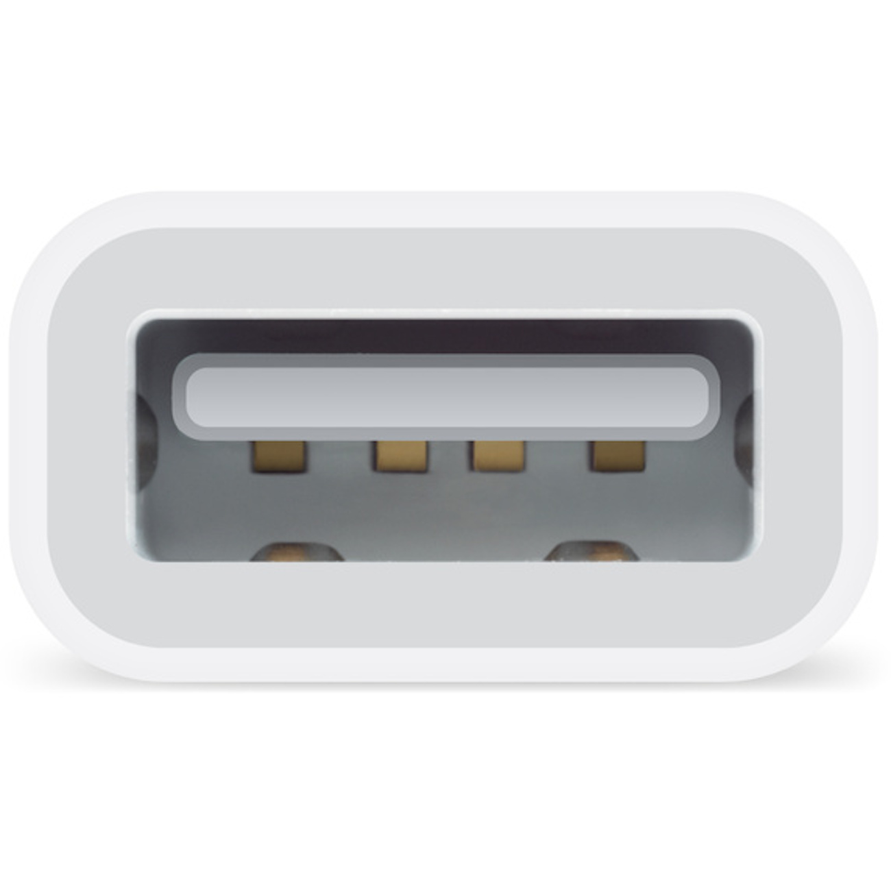 Nahaufnahme eines weißen USB-C-Anschlusses. Der Anschluss ist zentriert und scharf.