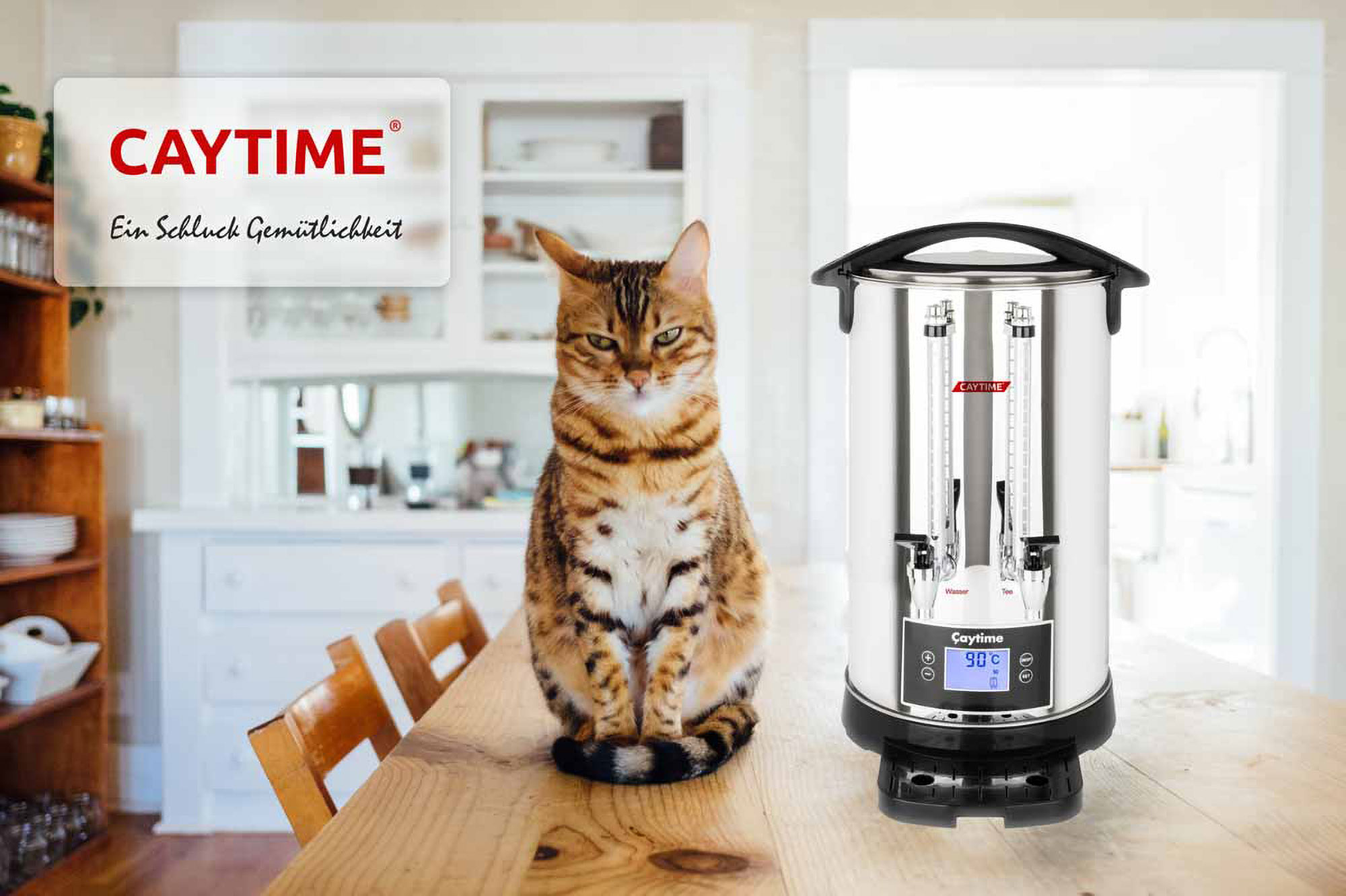 Katze auf Tisch neben Kaffeemaschine. Markenname, weiße Regale im Hintergrund.