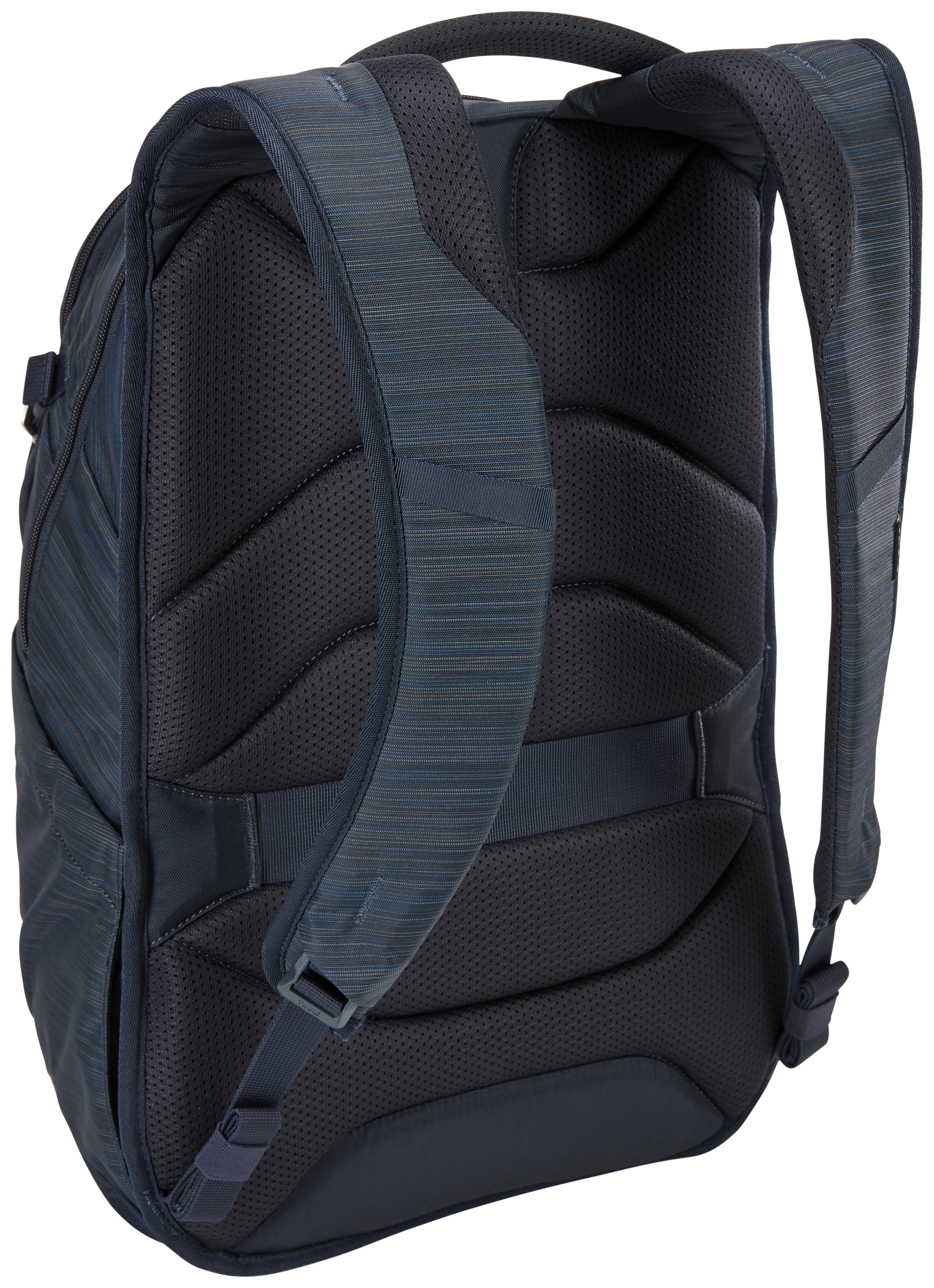 Ein blauer und schwarzer Rucksack mit gepolsterten Trägern, von hinten betrachtet.