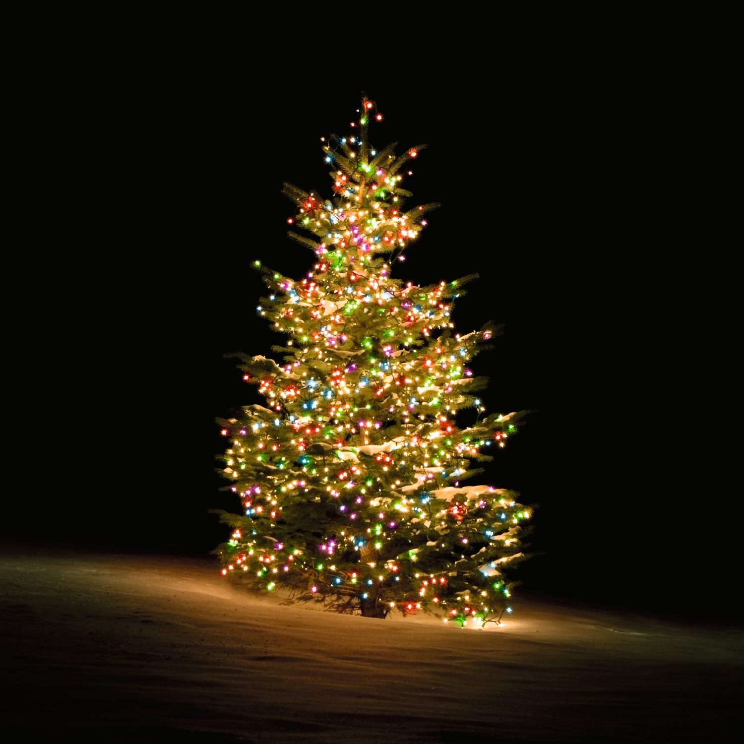 DELTACO SMART HOME Smarte Weihnachtsbaum-Lichterkette Lichterkette, RGB schwarz