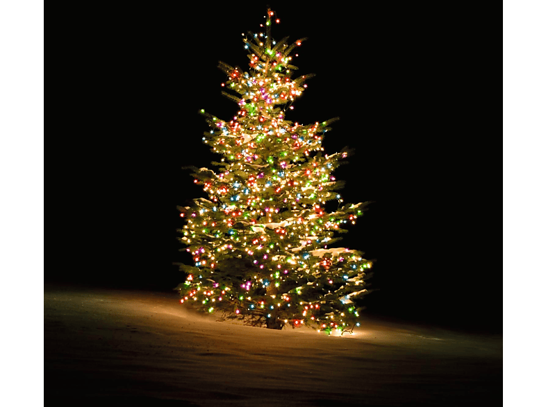 DELTACO SMART HOME Smarte Weihnachtsbaum-Lichterkette RGB Lichterkette, schwarz