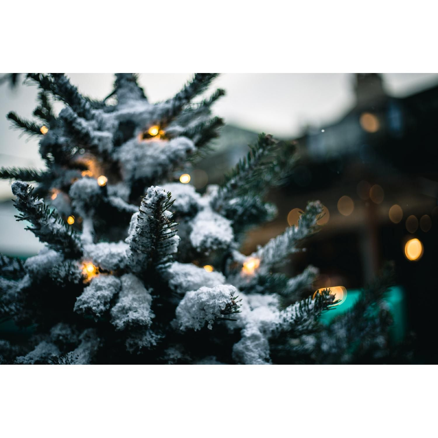 Smarte schwarz DELTACO Weihnachtsbaum-Lichterkette Lichterkette, SMART HOME
