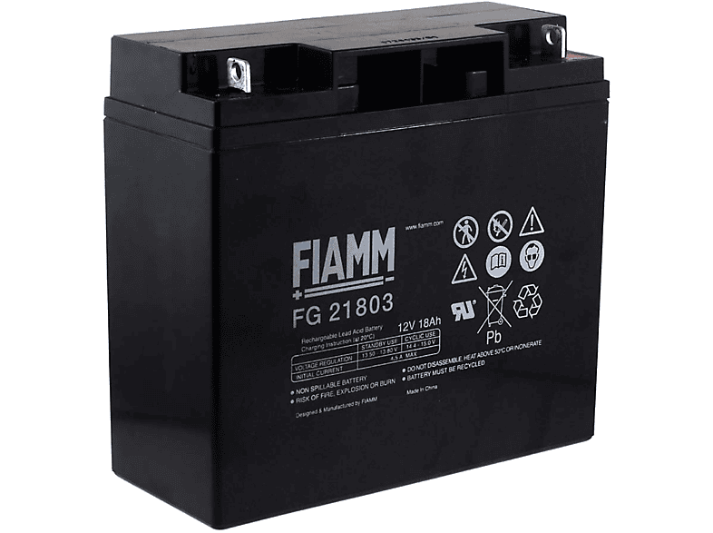 FIAMM De Reemplazo Para SAI APC Smart-UPS SUA1500I * Www