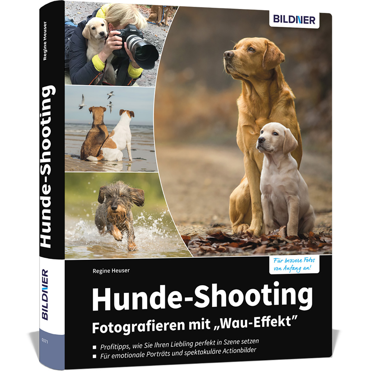 mit „Wau-Effekt“ Hunde-Shooting: Fotografieren