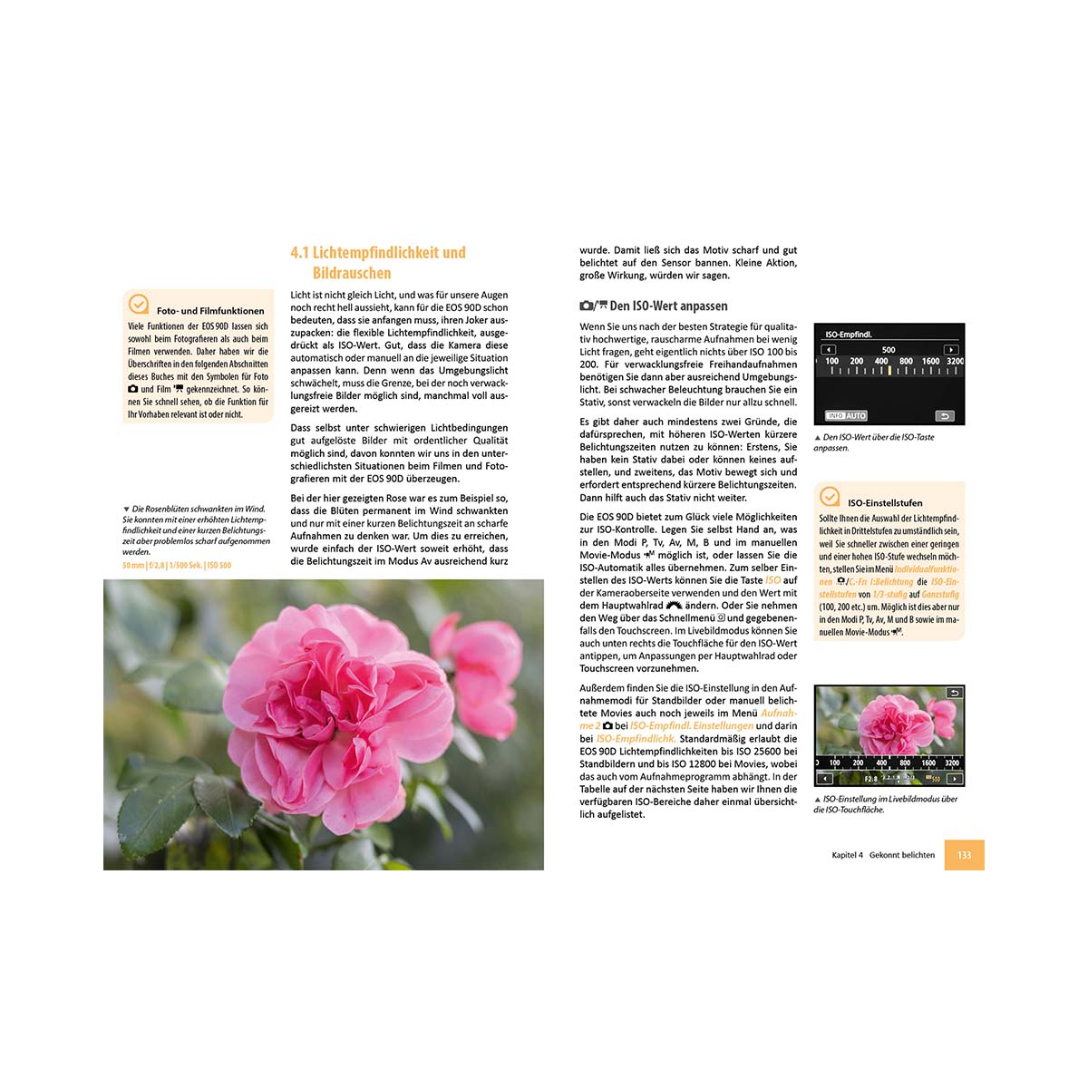 Nahaufnahme einer Seite mit Text und Bildern über Fotografie. Die Seite zeigt ein Rosenfoto.