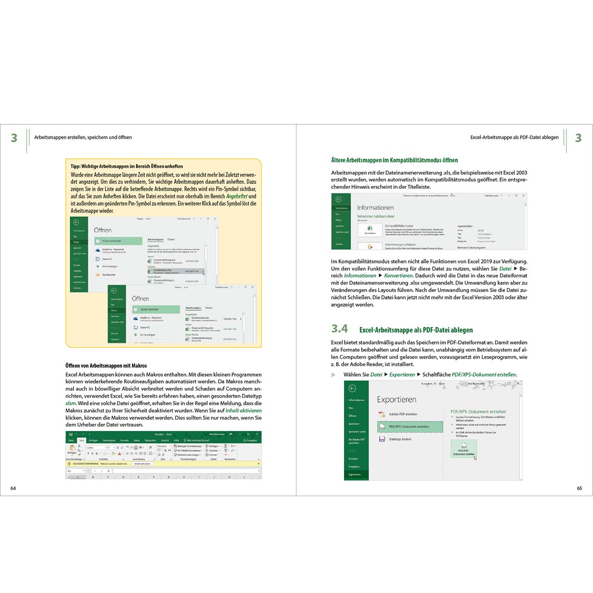 Seite mit Text über Excel-Arbeitsmappen und Funktionen, mit Screenshots und Diagrammen.