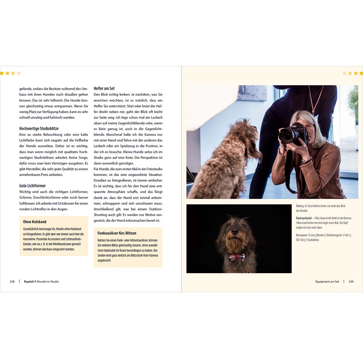 Hunde-Shooting: Fotografieren mit „Wau-Effekt“