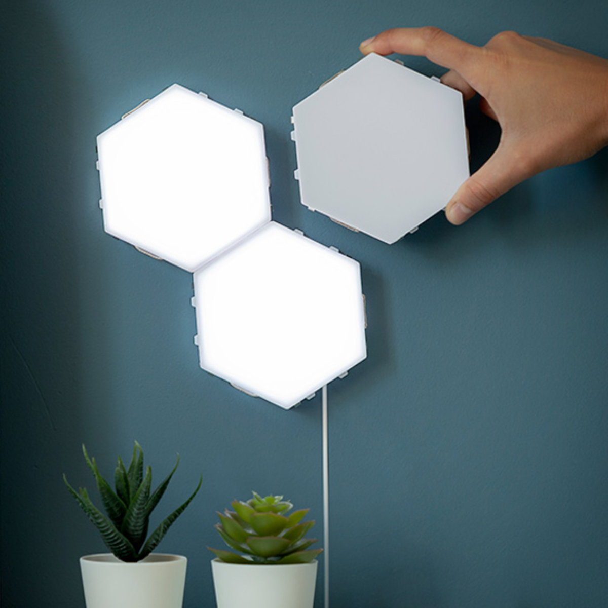 Tres paneles de luz hexagonales blancos en una pared azul con plantas debajo.