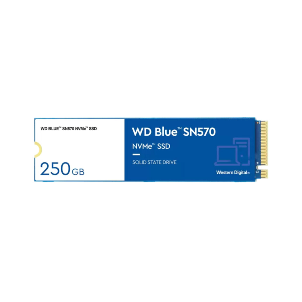 WESTERN DIGITAL WD 250 intern GB, SN570, Blue SSD
