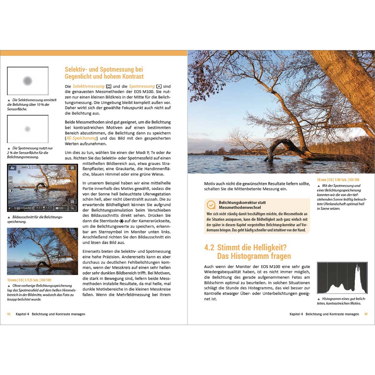 Ein Magazin mit geöffneten Seiten, mit einer See- und Baumszene und Text auf der rechten Seite.