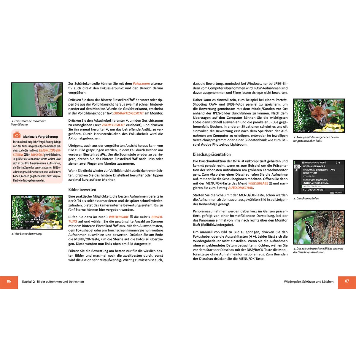 Lehrbuchseite mit Bildern und Text über Fotografie.