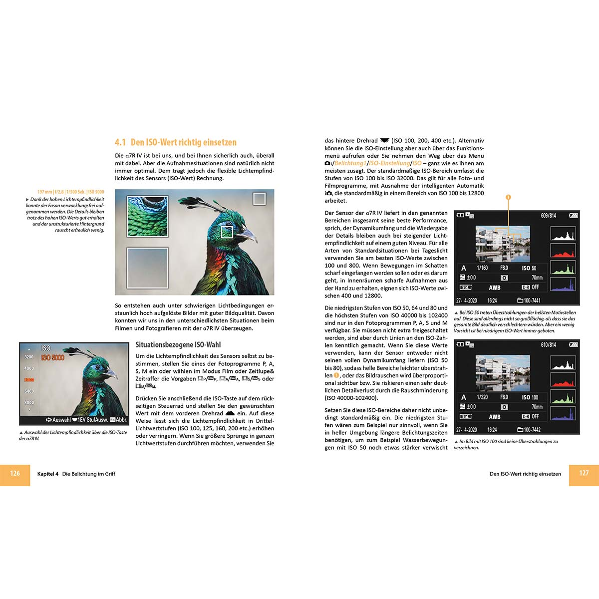 Buchseiten über Fotografie, mit Nahaufnahmen eines Vogels und einer Kameraeinstellung.