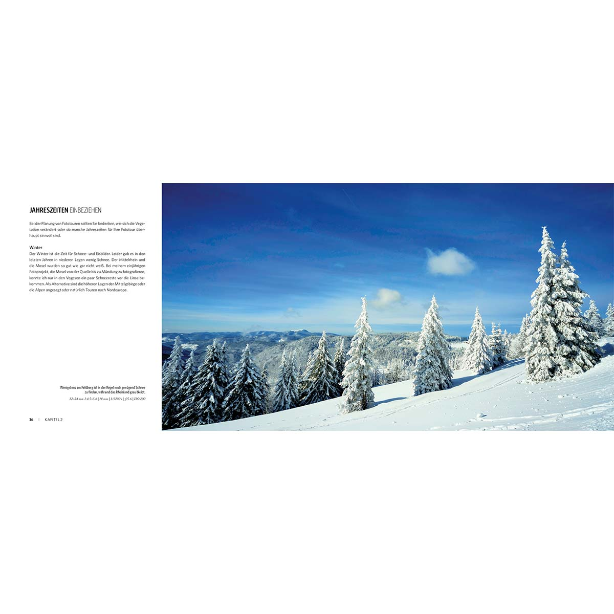 Verschneite Winterlandschaft mit Kiefern und blauem Himmel, Text links.