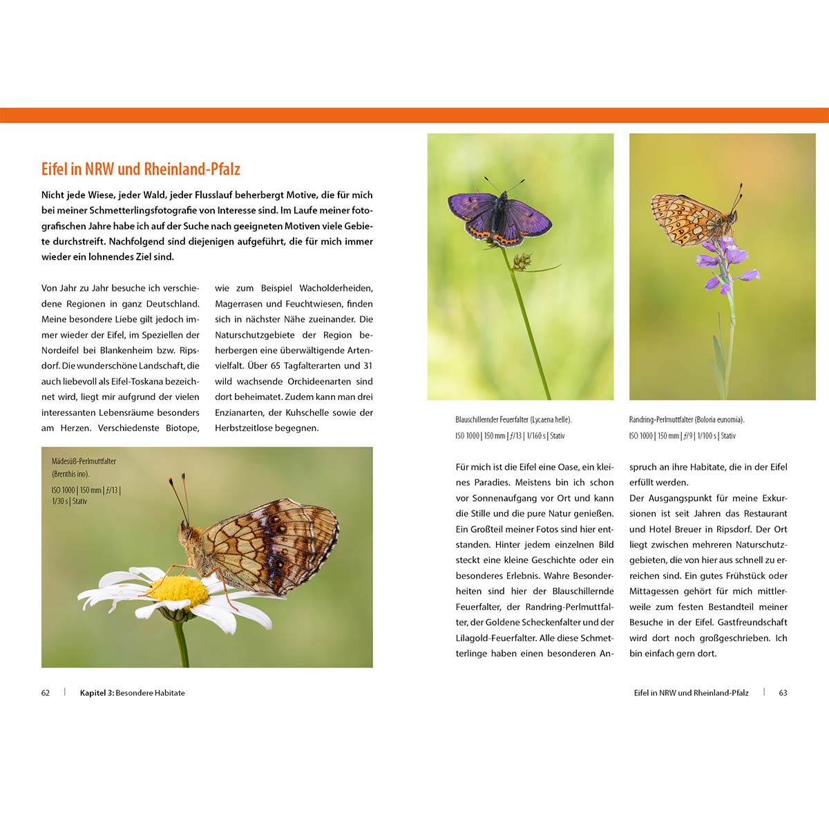 Drei Schmetterlinge in einer Naturzeitschrift mit Text. Schmetterlinge haben unterschiedliche Farben, der Text beschreibt ihren Lebensraum.