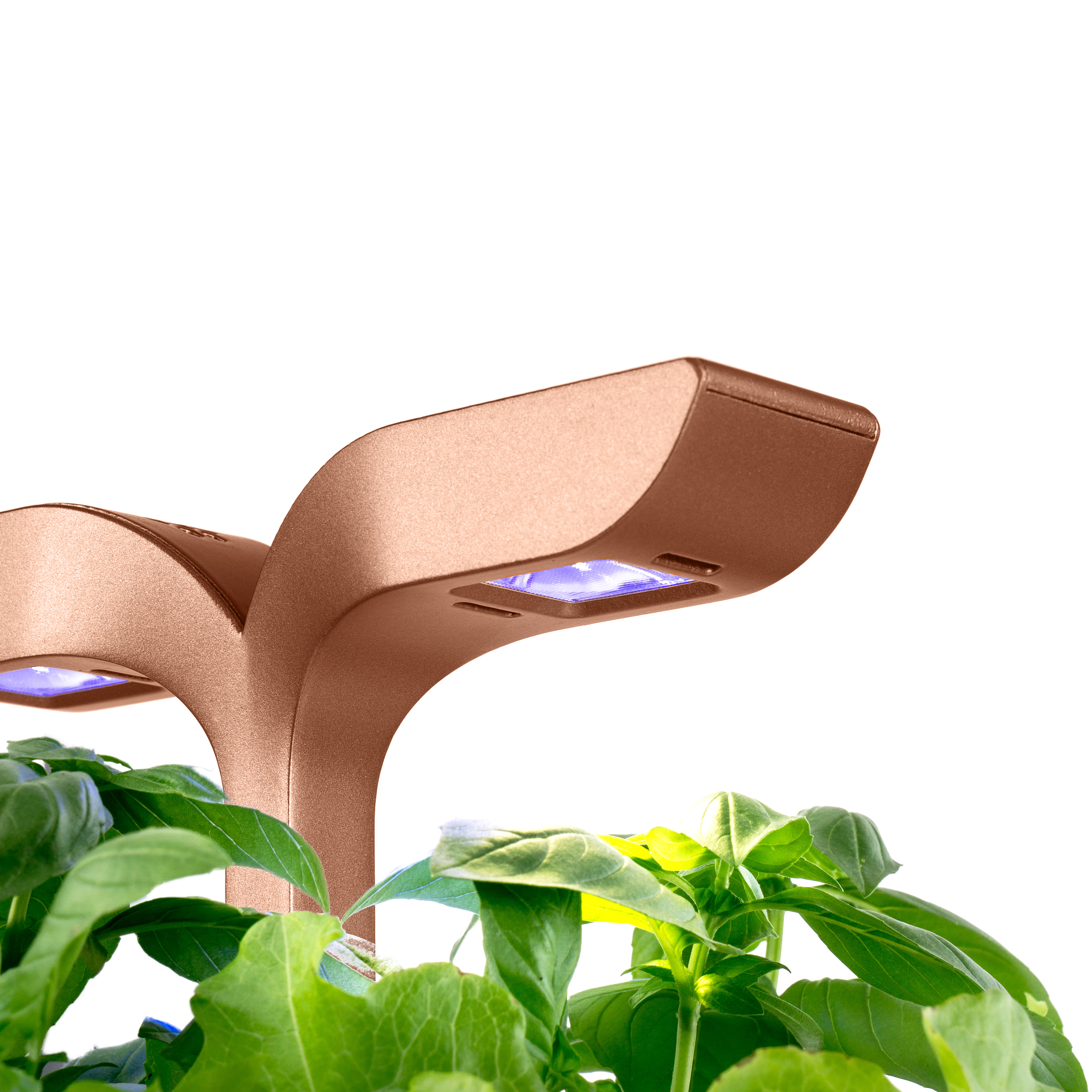 Une lampe de culture couleur cuivre avec des lumières bleues et des plantes vertes en arrière-plan.