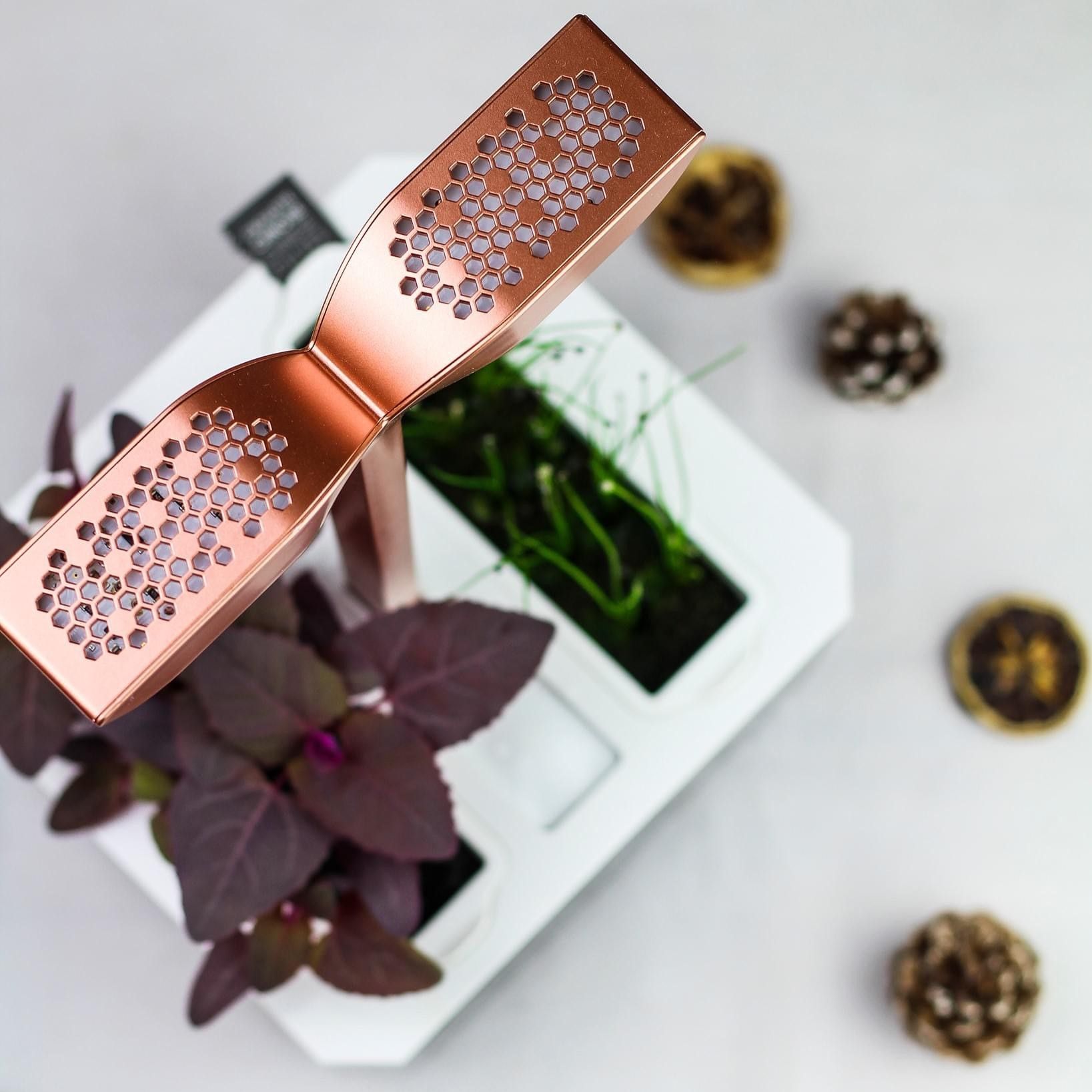 Draufsicht auf einen weißen Blumentopf mit Kupferbefestigung und Pflanzen.