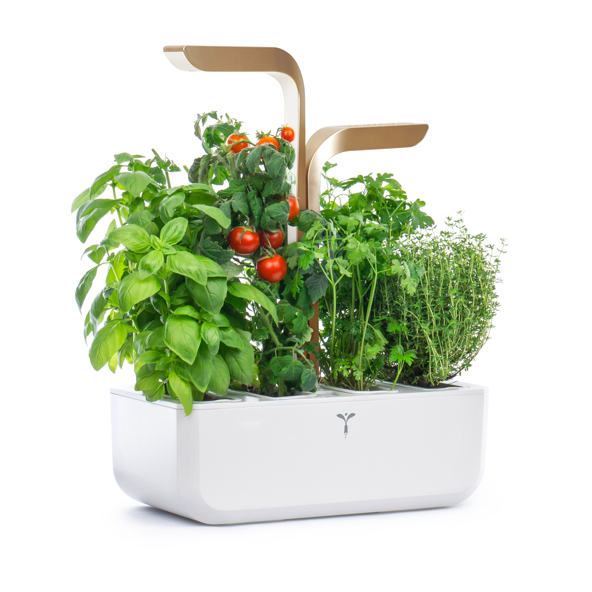 Indoor-Kräutergarten mit Basilikum, Tomaten und anderen Kräutern. Er hat eine weiße Basis und goldene Leuchten.