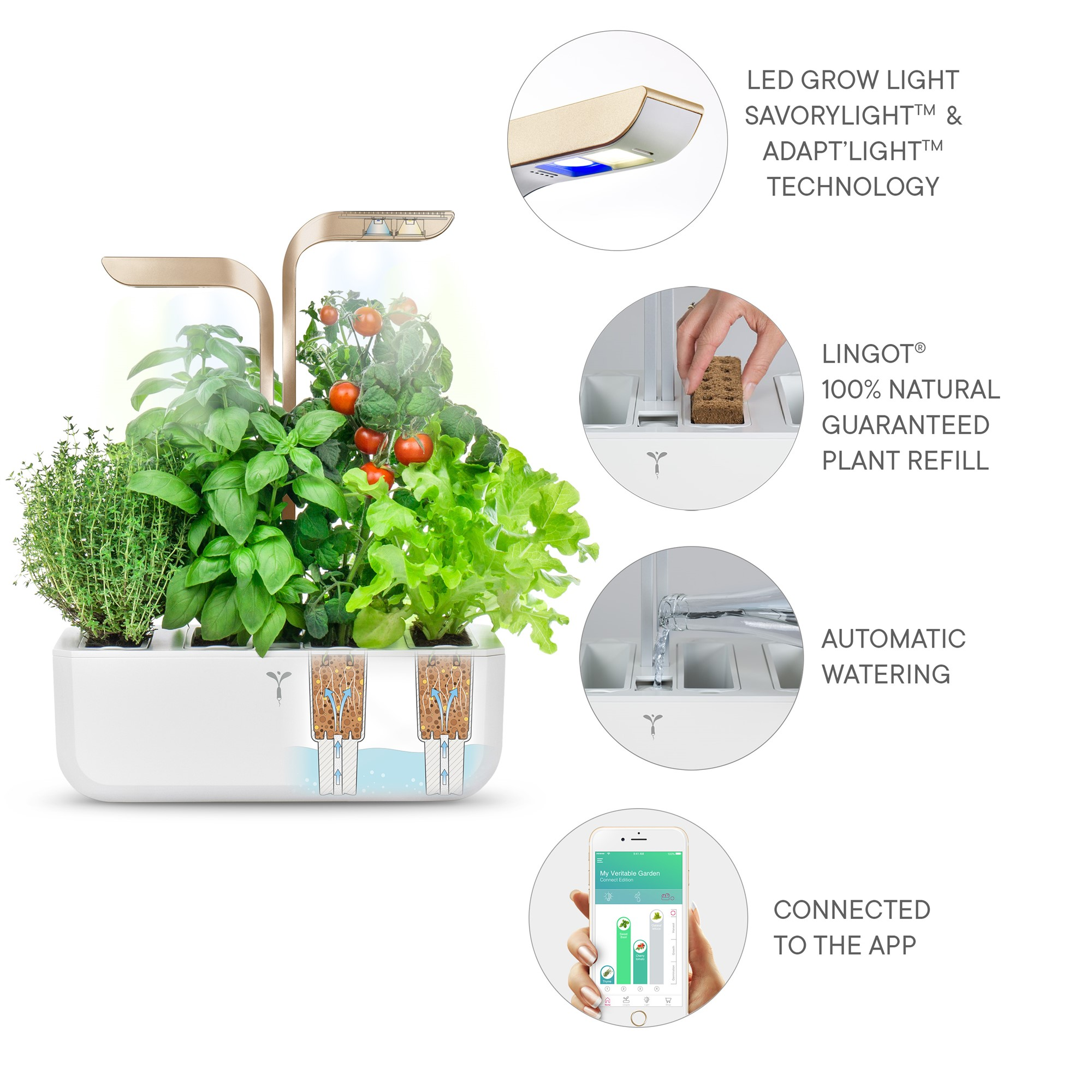 Ein Indoor-Smart-Garten mit Pflanzen, Lichtern, Wassersystem und einem Smartphone, das eine App anzeigt.