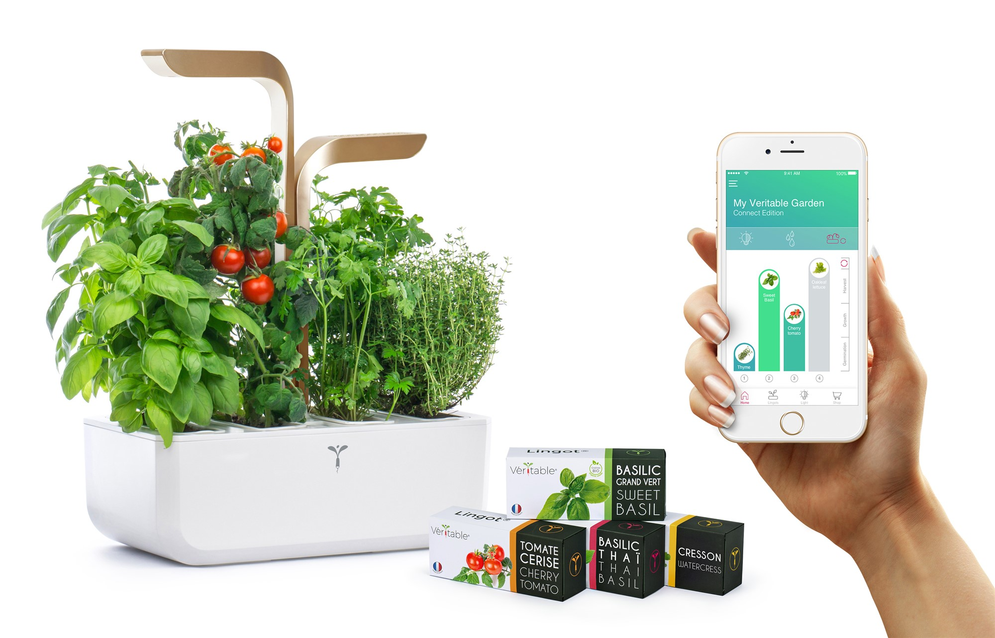Indoor-Garten mit Pflanzen, Telefon mit Garten-App und Saatgutpackungen. Eine Hand hält das Telefon.