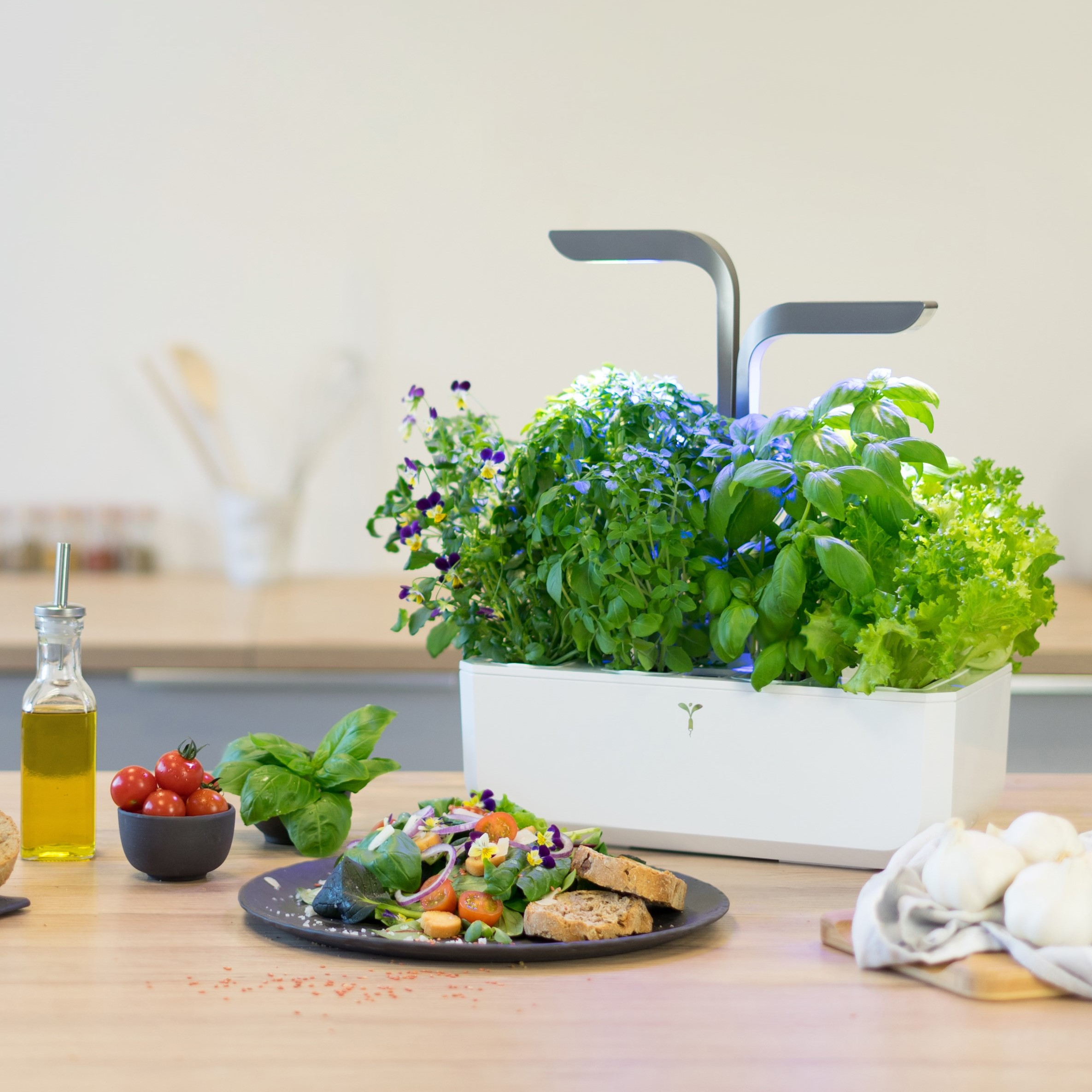 Küchenszene mit Salat, Kräutern und einem weißen Pflanzgefäß mit Wachstumslampen.