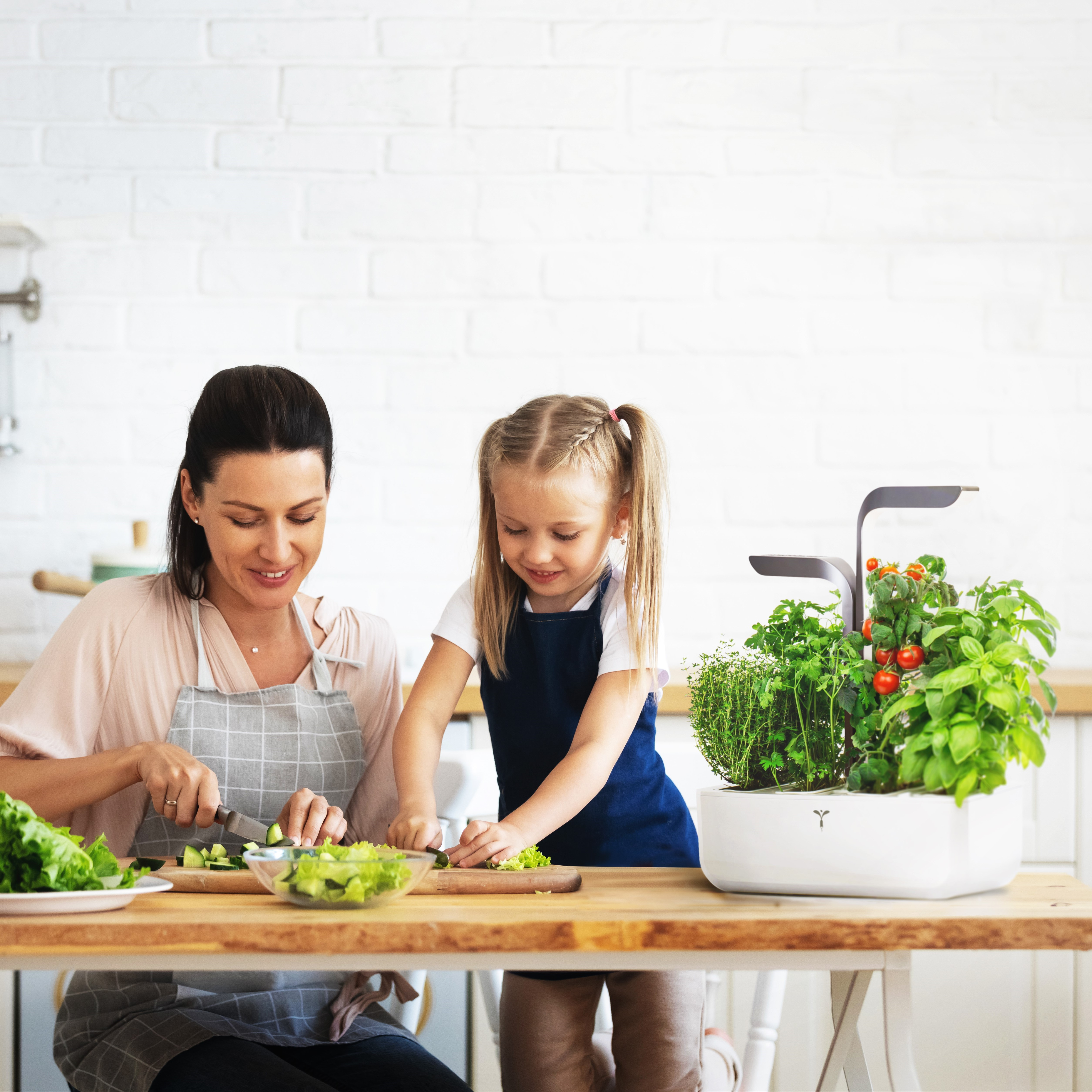 Eine Frau und ein Mädchen kochen gemeinsam an einem Küchentisch mit Hydrokultur.