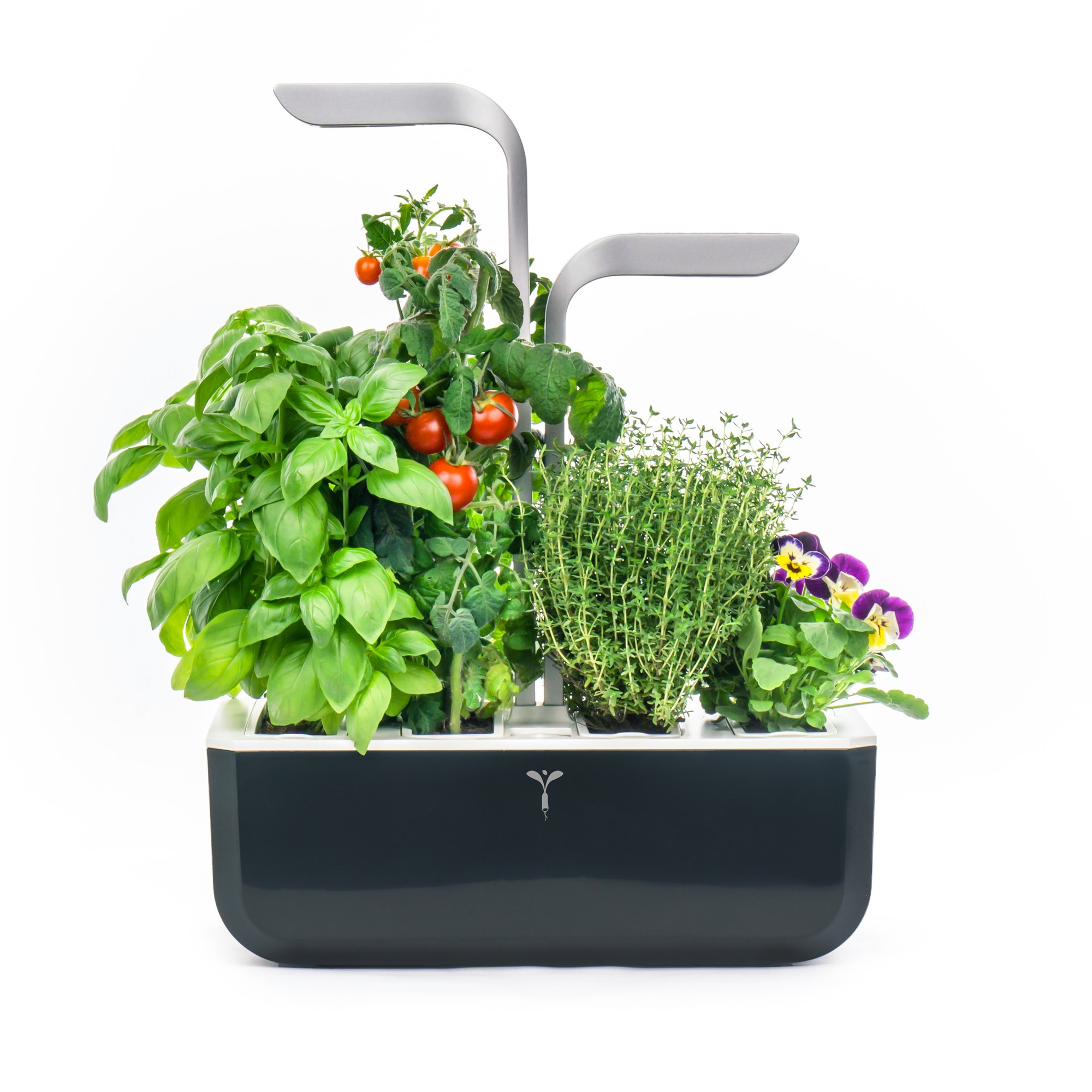 Ein kleiner Indoor-Garten mit Pflanzen. Es gibt Basilikum, Tomaten, Thymian und Stiefmütterchen.