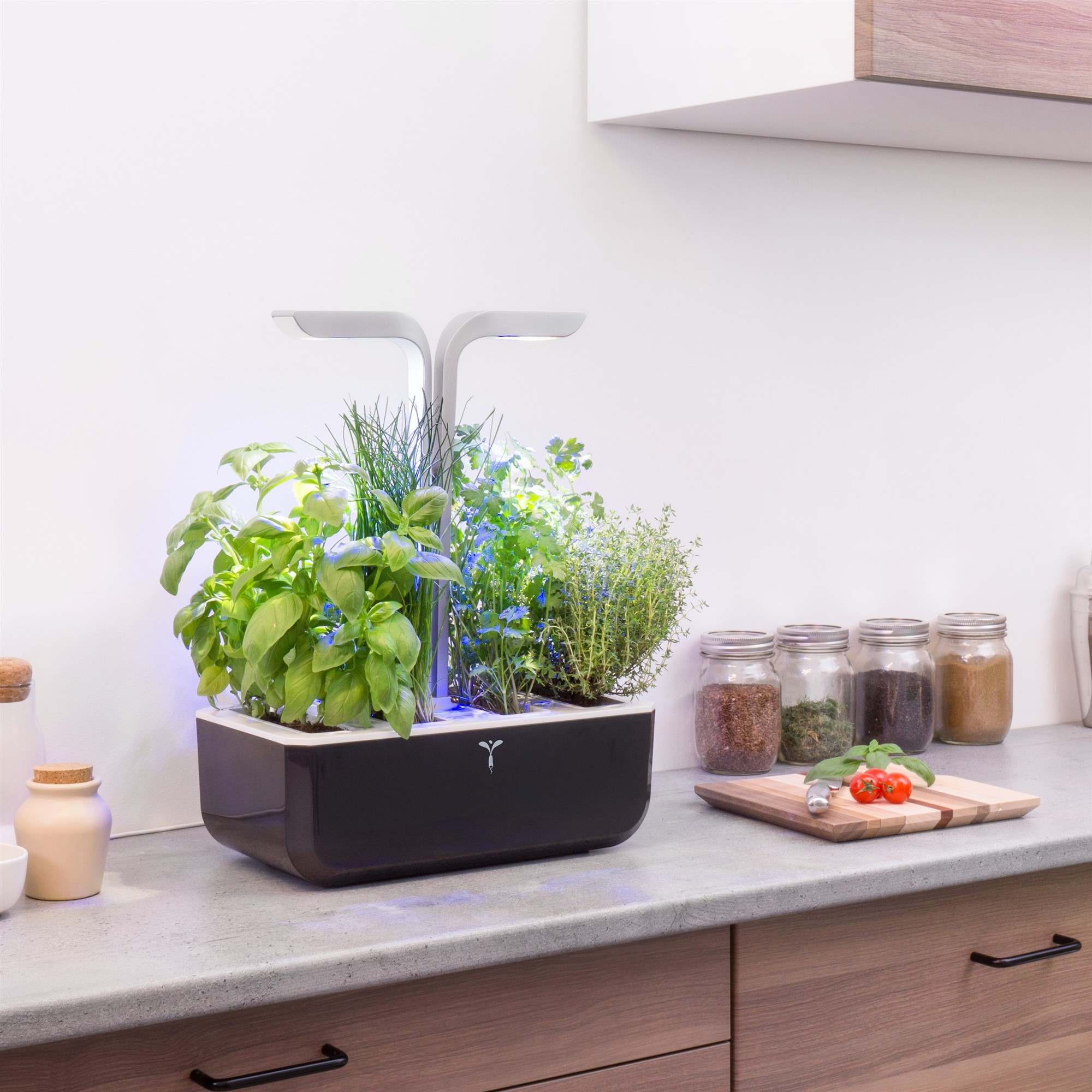 Indoor-Kräutergarten mit Pflanzen und Gläsern auf einer Küchentheke.
