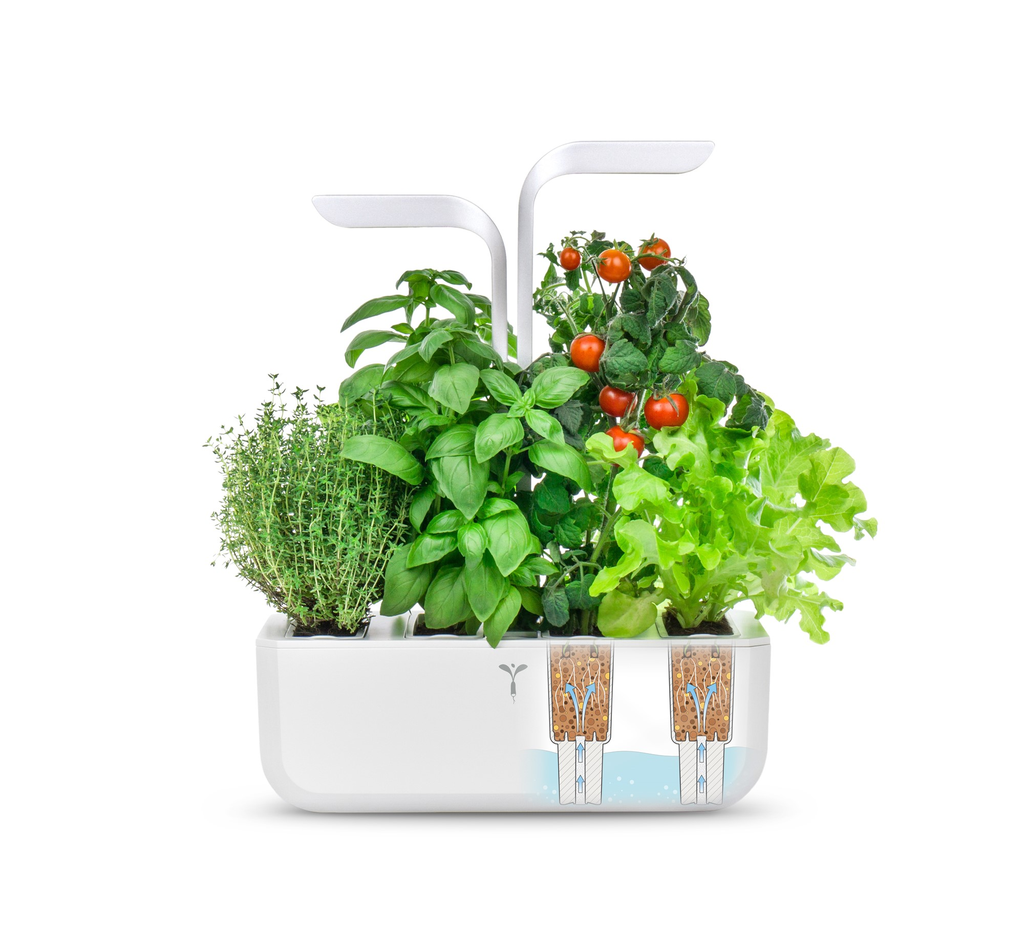 Ein weißer Indoor-Garten mit Kräutern und Tomaten, mit eingebautem Wassersystem.