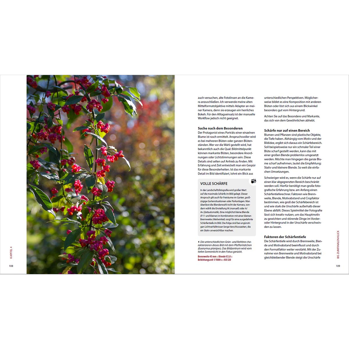 Eine Textseite über Fotografie, Schwerpunkt Tiefenschärfe und Schärfe.