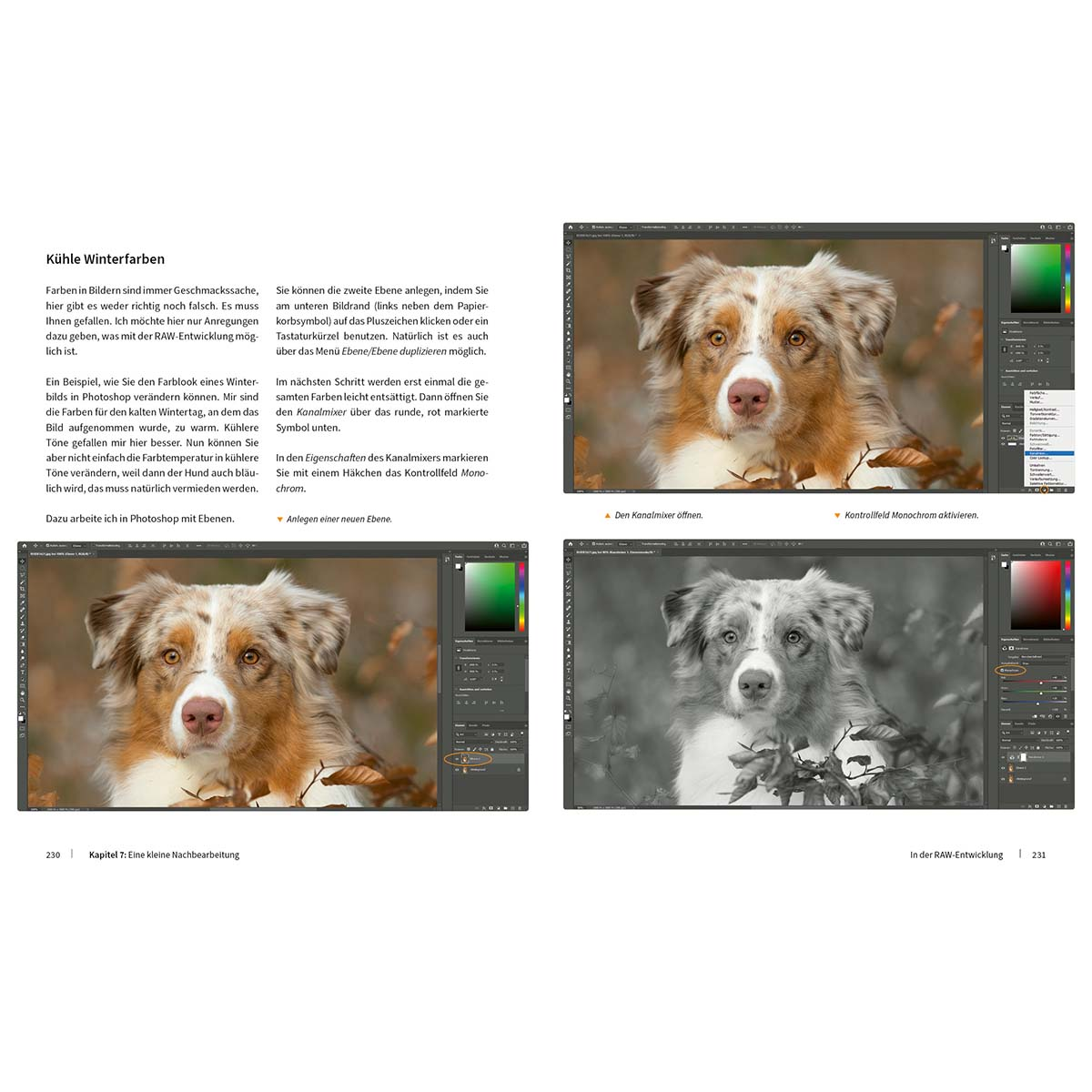 Buchseiten mit Bildern eines Hundes. Text und Bilder eines Hundes sind sichtbar.