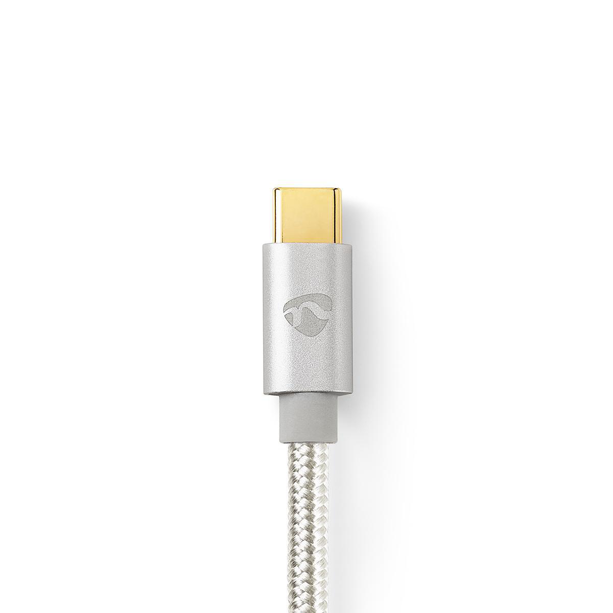 Ein silberner und grauer USB-C-Anschluss mit geflochtenem Kabel vor weißem Hintergrund.