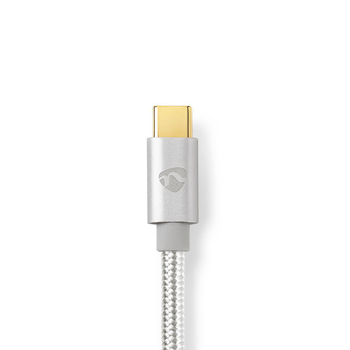 Connecteur USB-C argenté avec pointe dorée, câble gris. Fond blanc, gros plan.