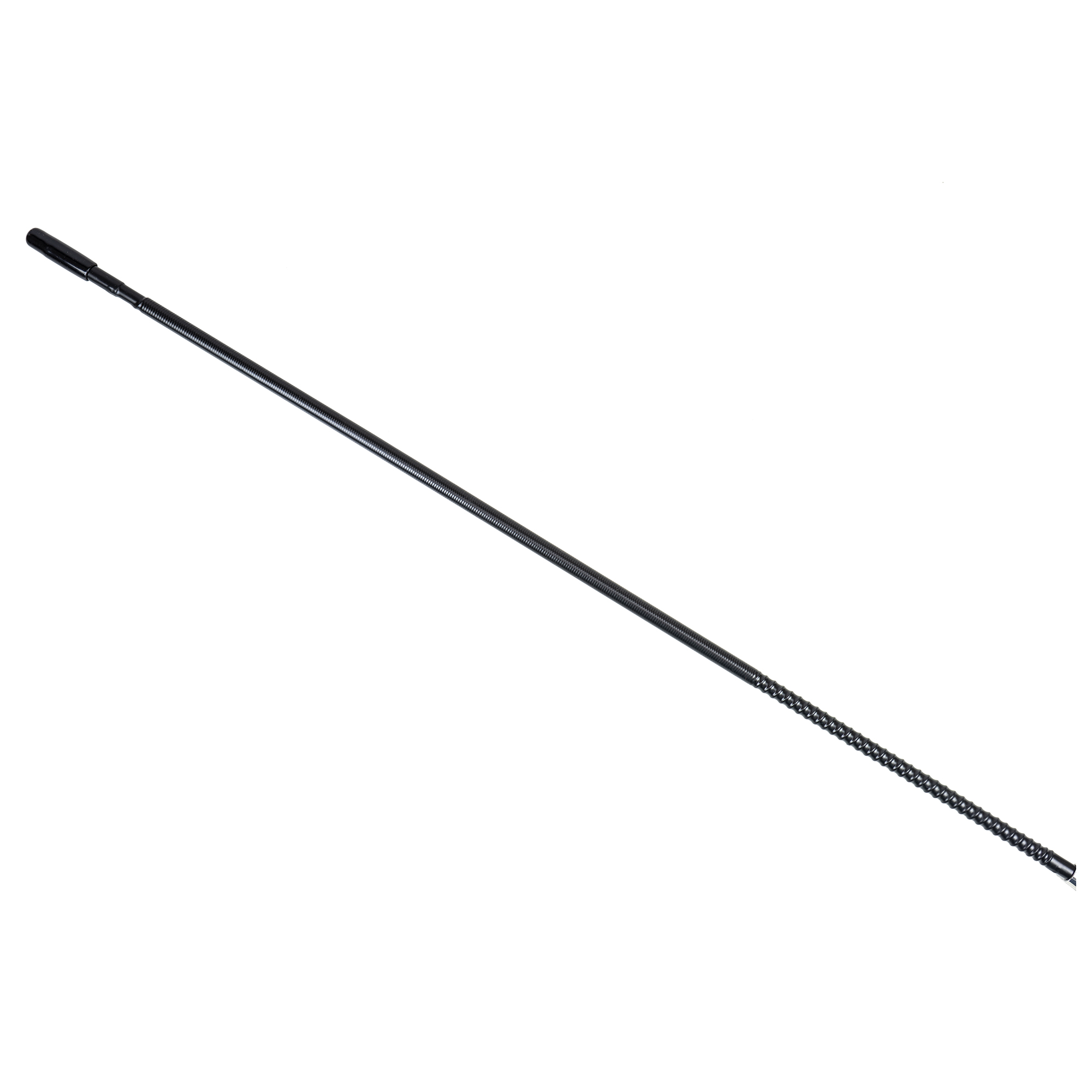 Eine lange, schwarze, flexible Antenne auf weißem Hintergrund.