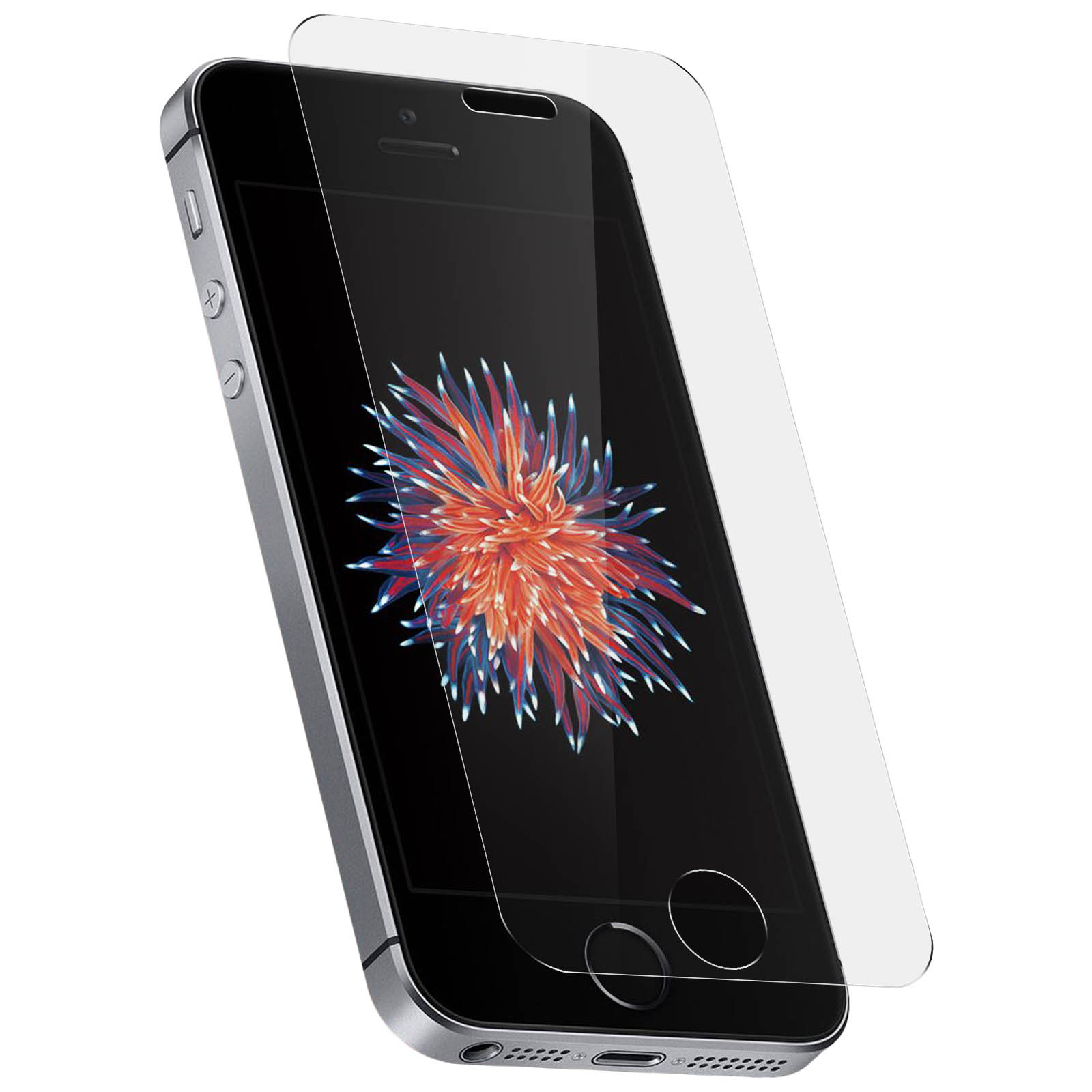 AKASHI Glas Glas-Folien(für Apple SE 2016) iPhone