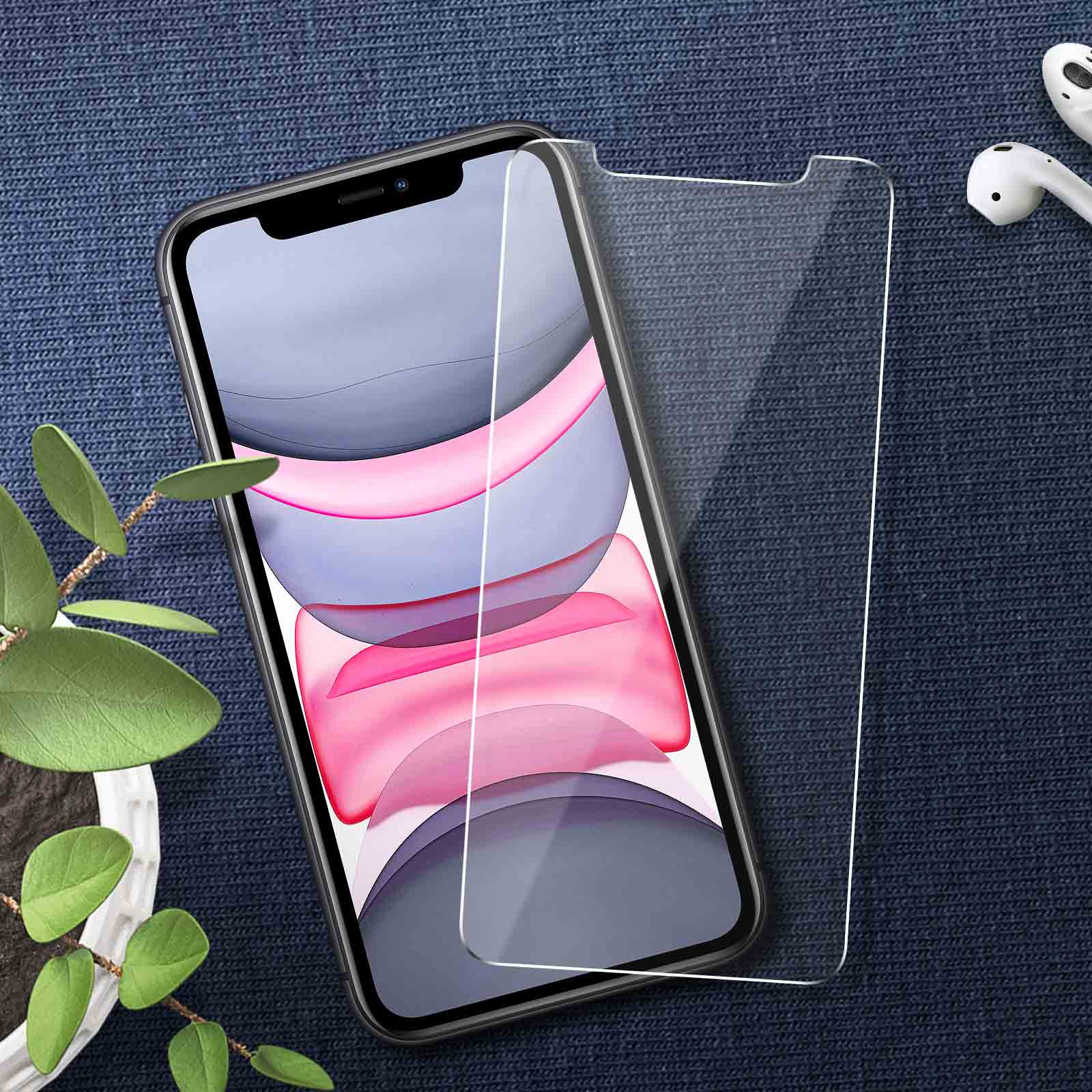 Smartphone with screen protector, next to a protective glass. Blue background. Green plant.