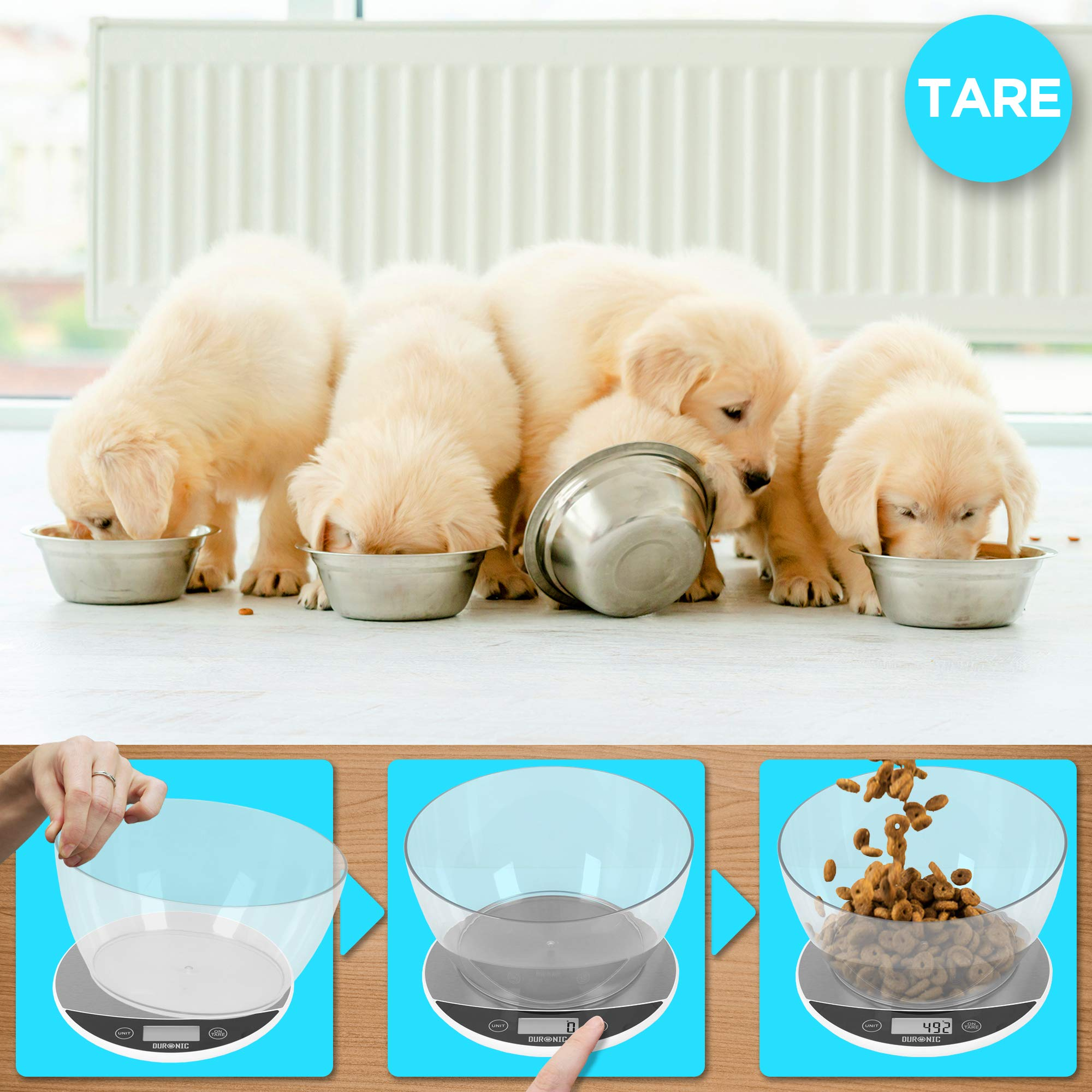 Welpen essen aus Schüsseln. Schüsseln sind mit Futter gefüllt. Eine Waage wird verwendet, um das Futter zu wiegen.