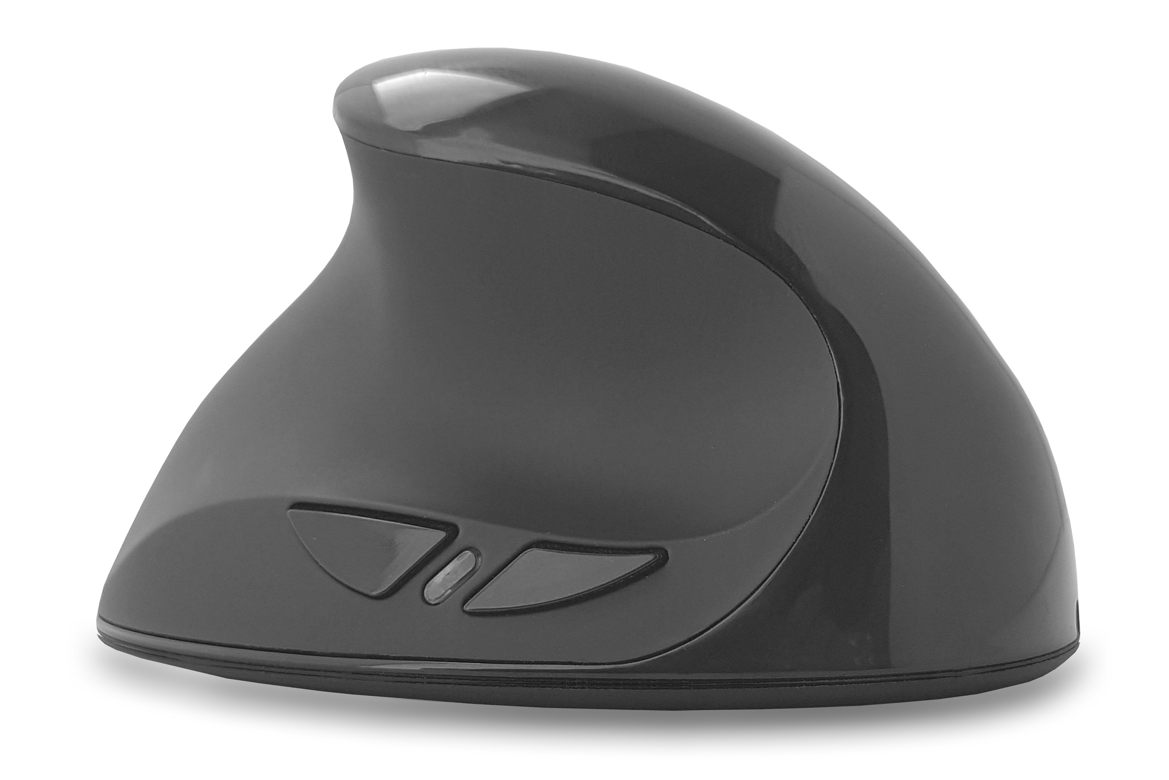 Eine geschwungene, schwarze ergonomische Maus mit zwei Tasten. Weißer Hintergrund.
