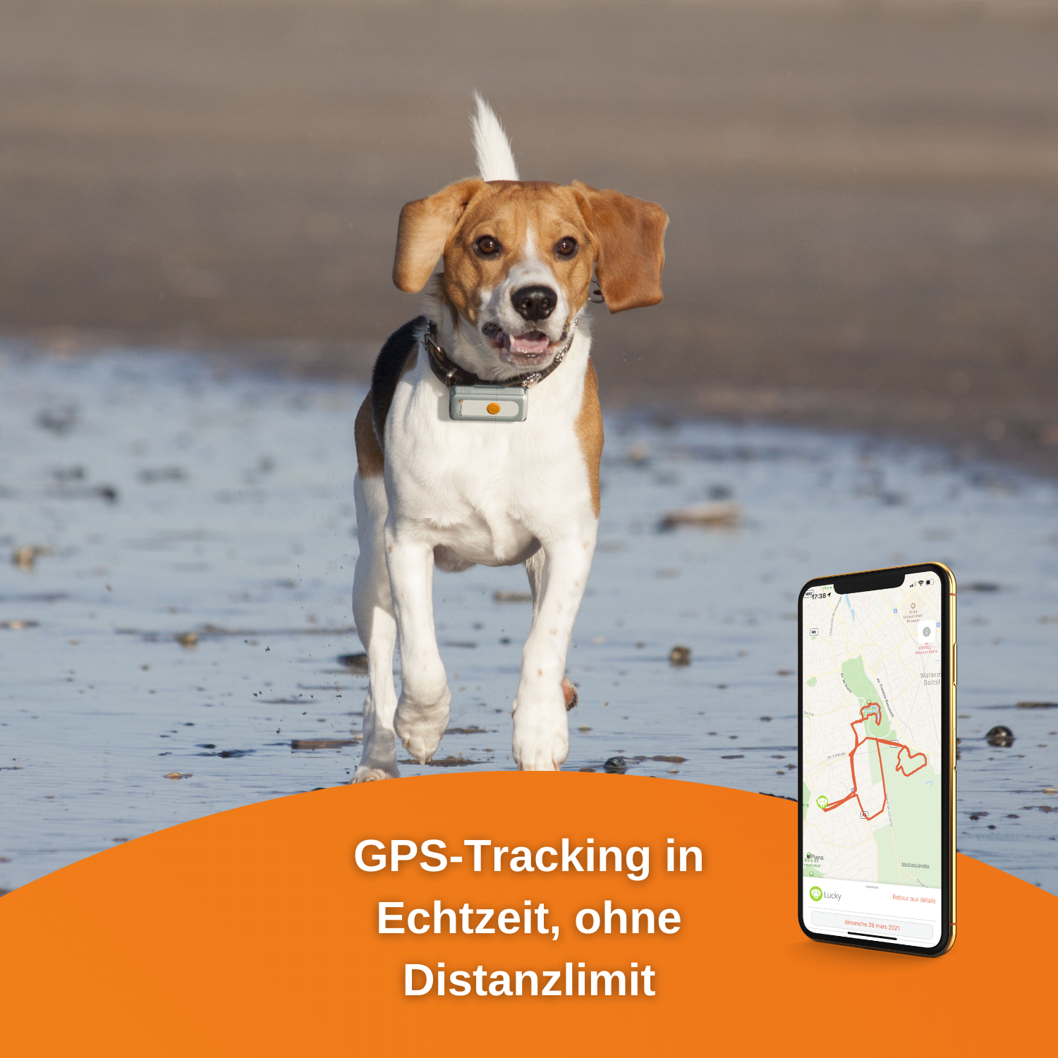 WEENECT Dogs 2 GPS Tracker Hunde für
