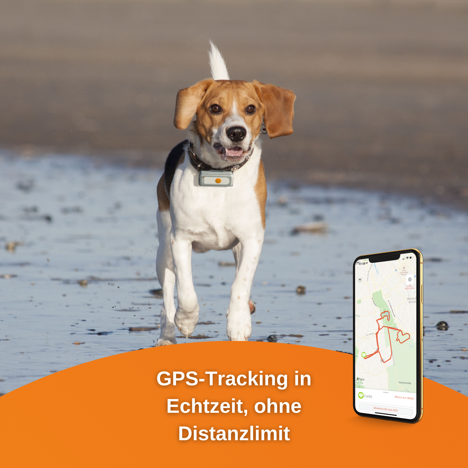 Tracker 2 Dogs Hunde WEENECT GPS für